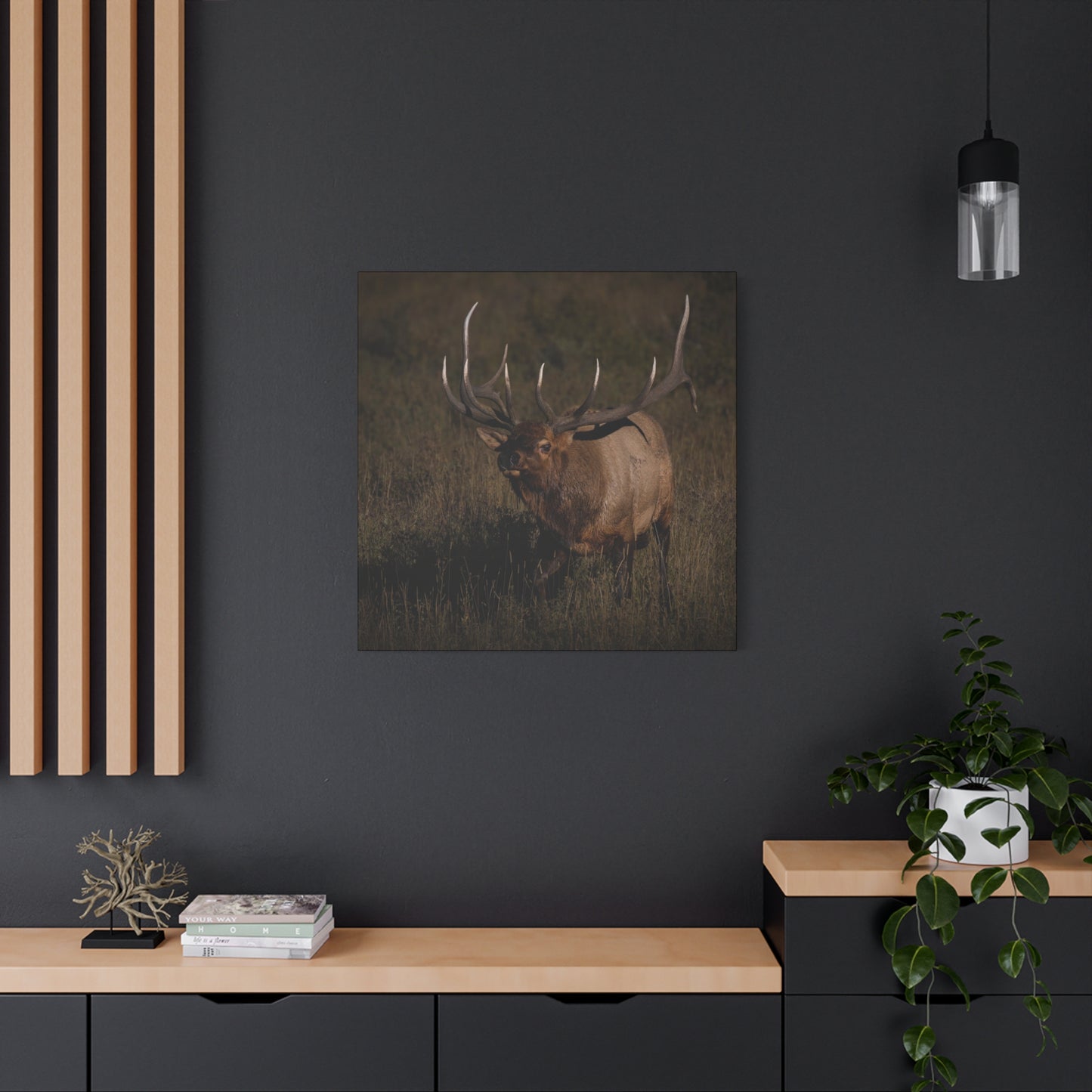 LAID BACK BULL ELK STRETCHED CANVAS PRINT