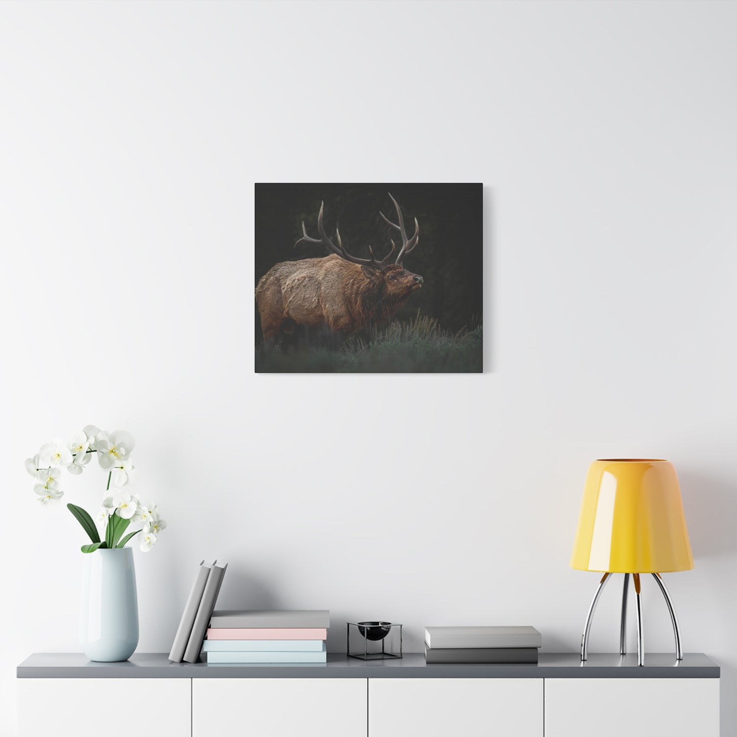 LOW LOOK BULL ELK STRETCHED CANVAS PRINT