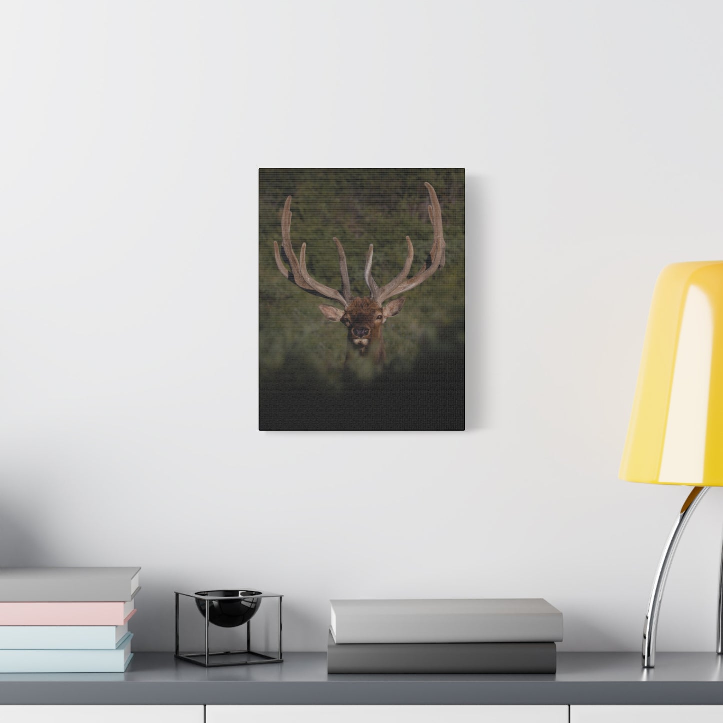 VELVET SURPRISE BULL ELK STRETCHED CANVAS PRINT