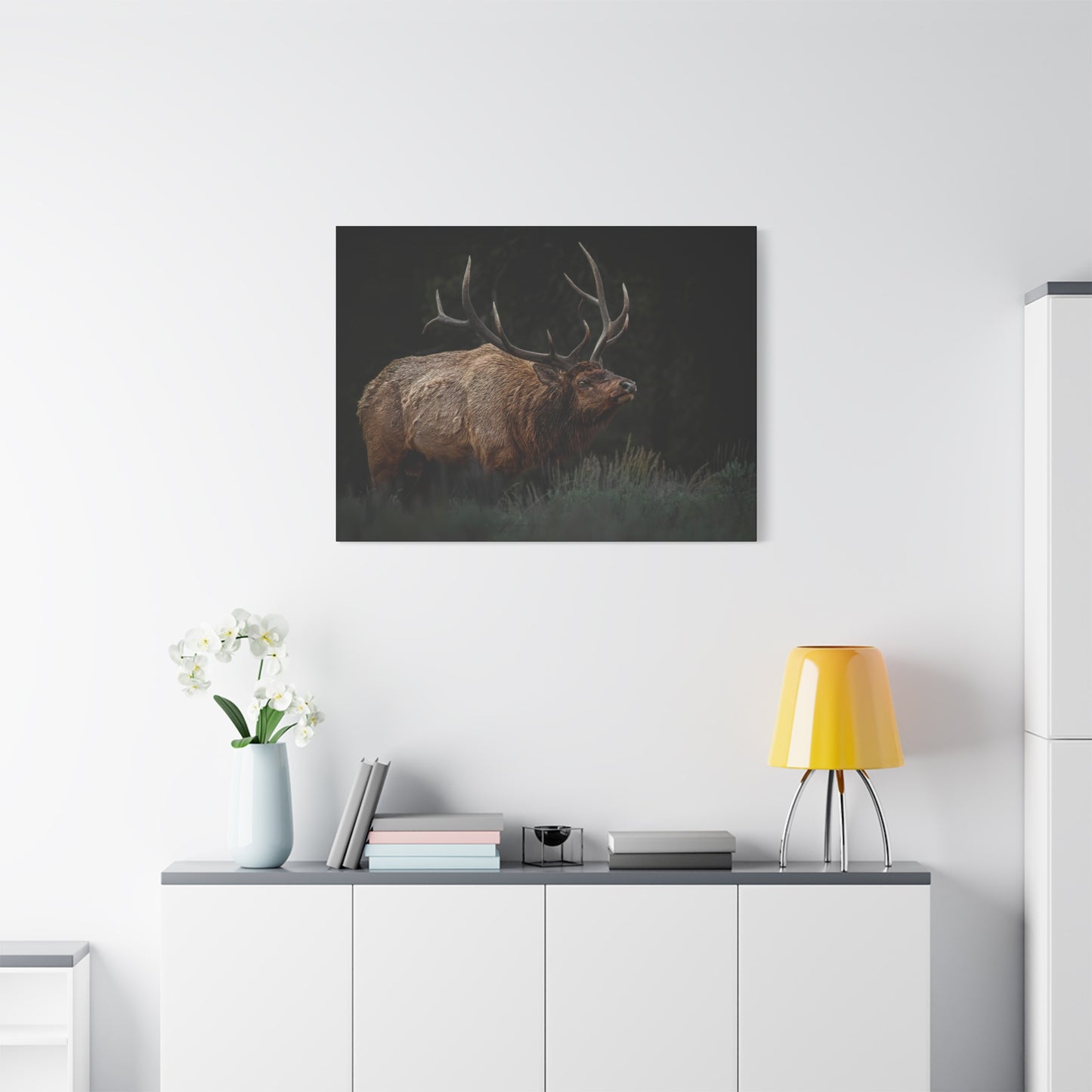 LOW LOOK BULL ELK STRETCHED CANVAS PRINT
