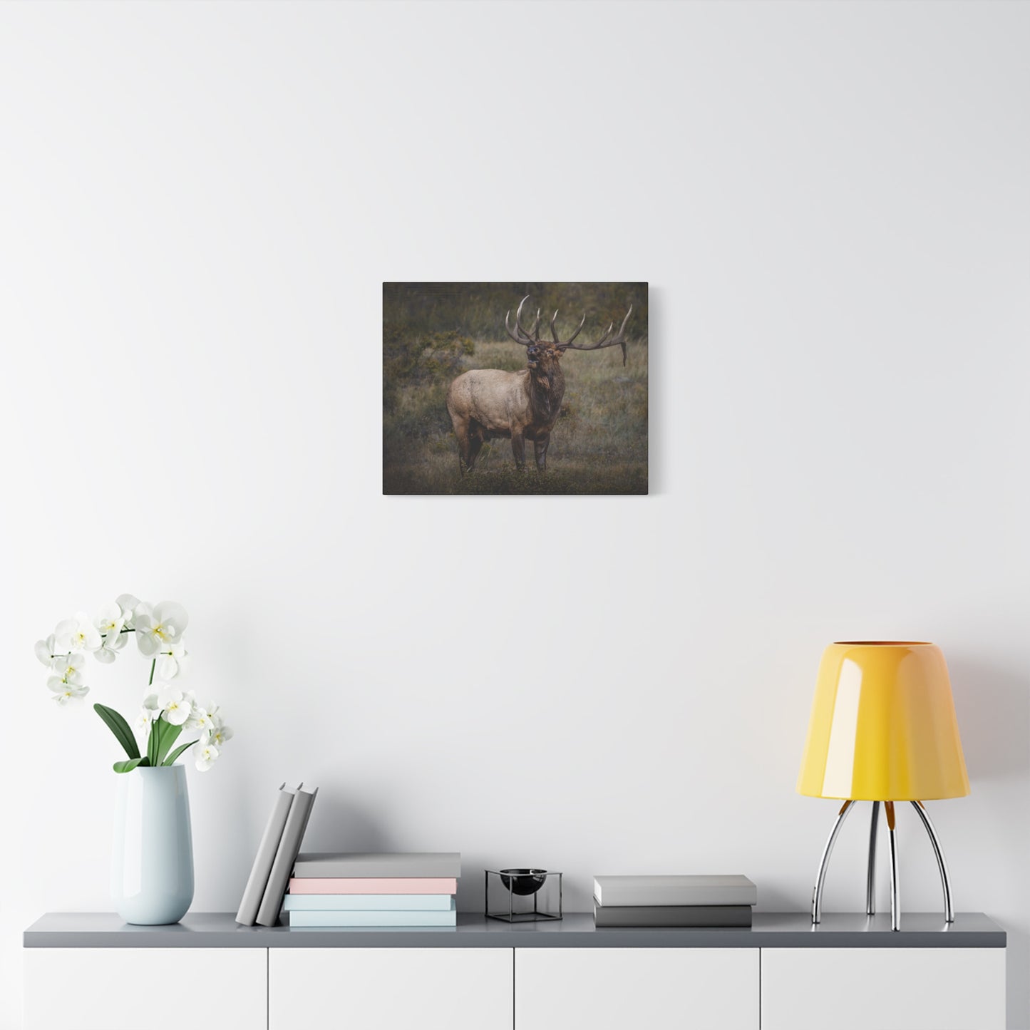 BEAMER BULL ELK STRETCHED CANVAS PRINT