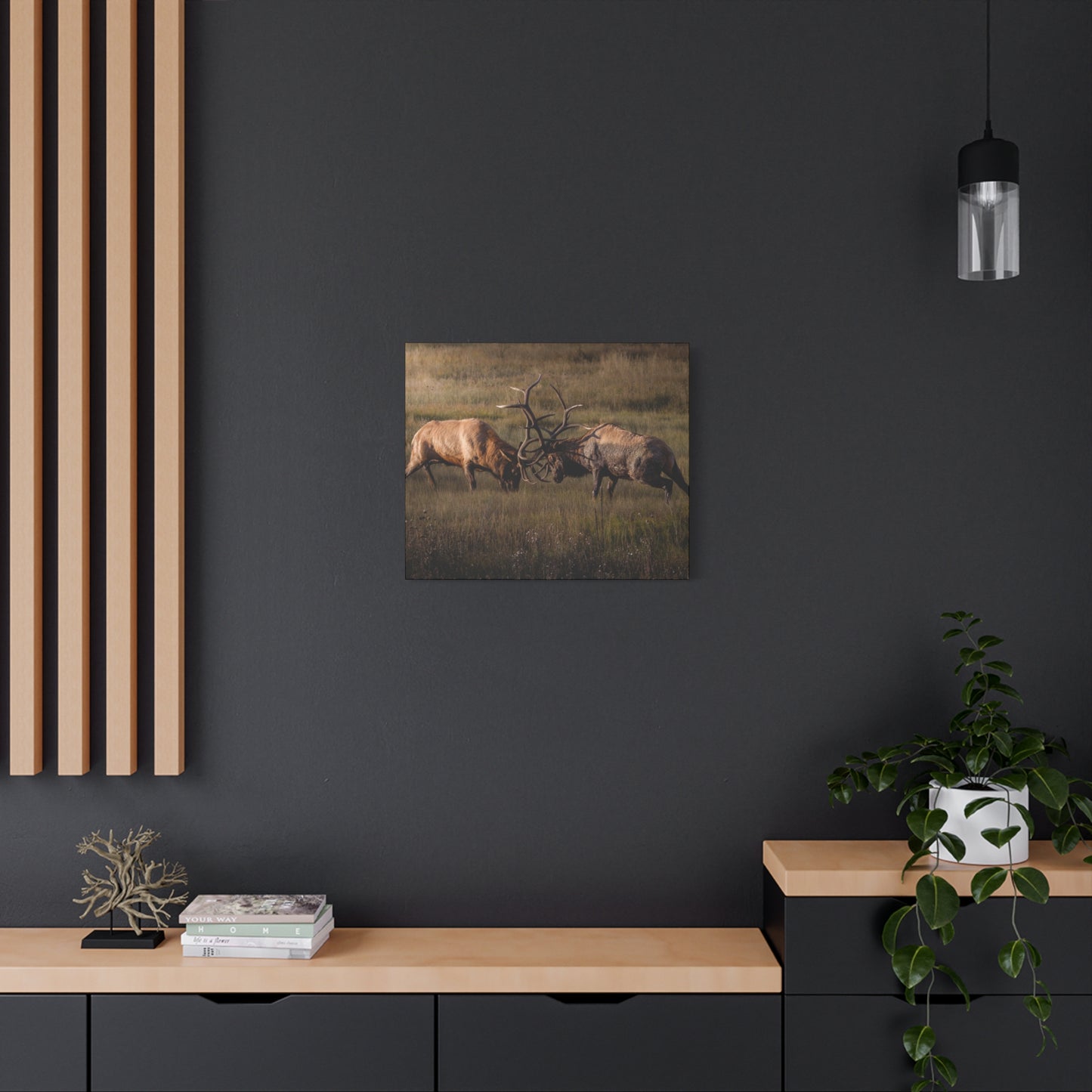 LOCKED IN LIGHT BULL ELK STRETCHED CANVAS PRINT
