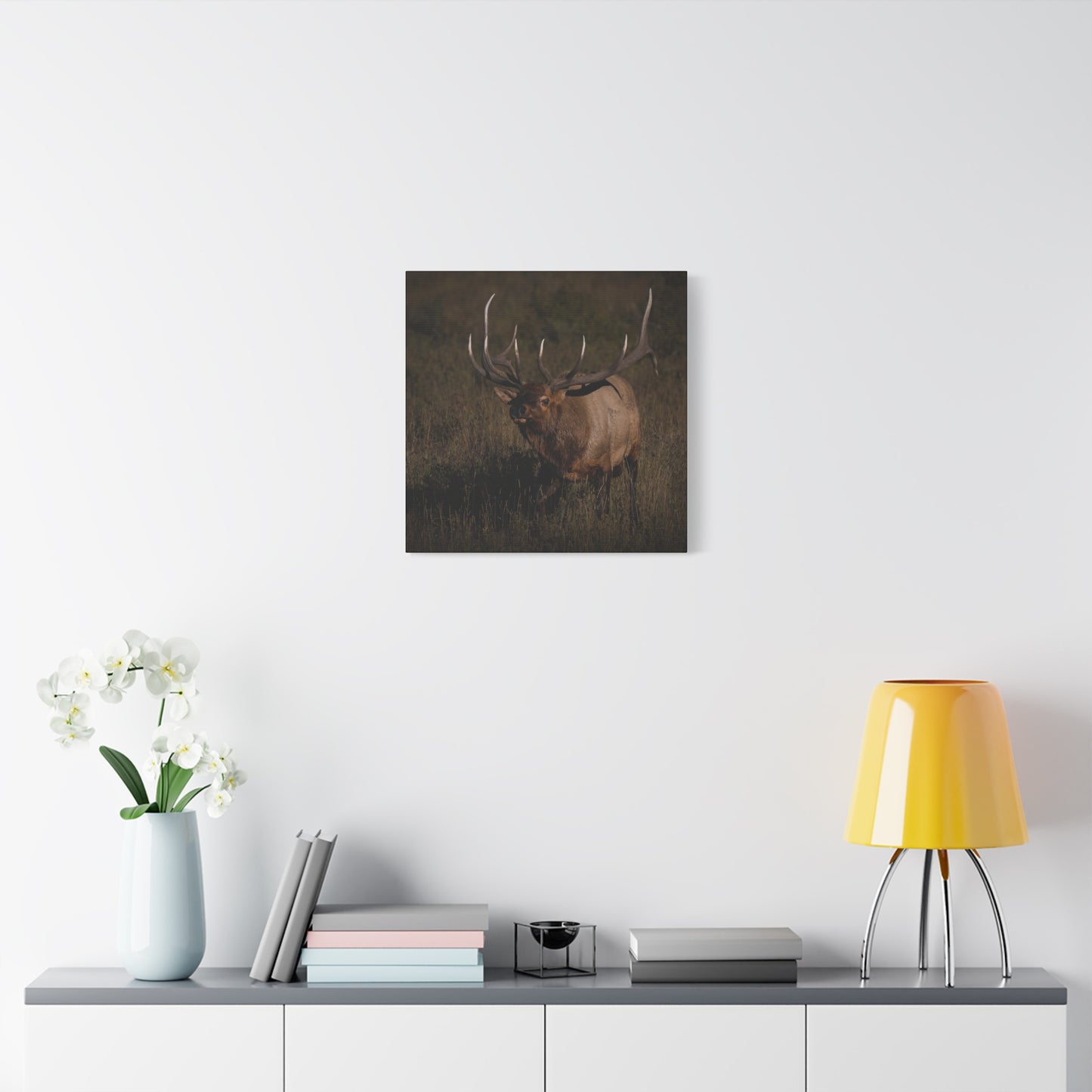LAID BACK BULL ELK STRETCHED CANVAS PRINT