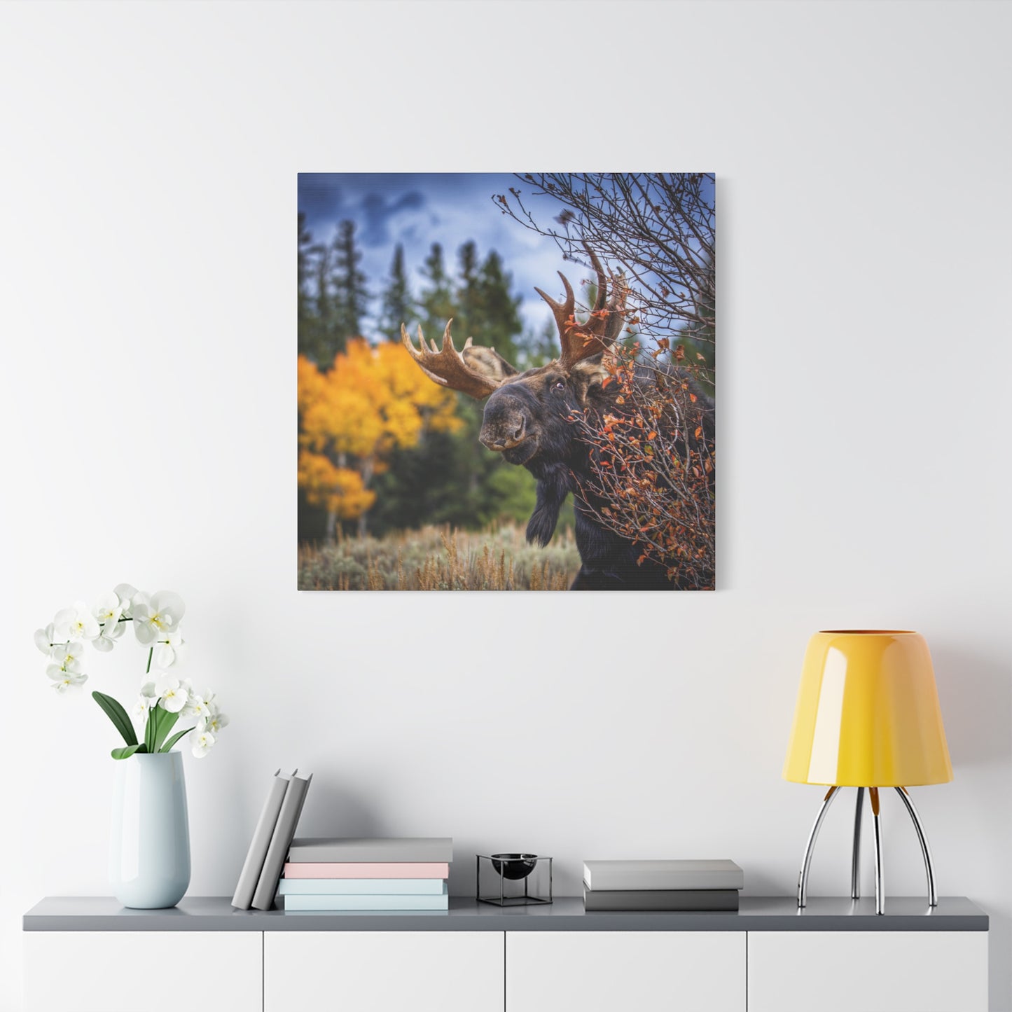 PEEKING BULL MOOSE STRETCHED CANVAS PRINT