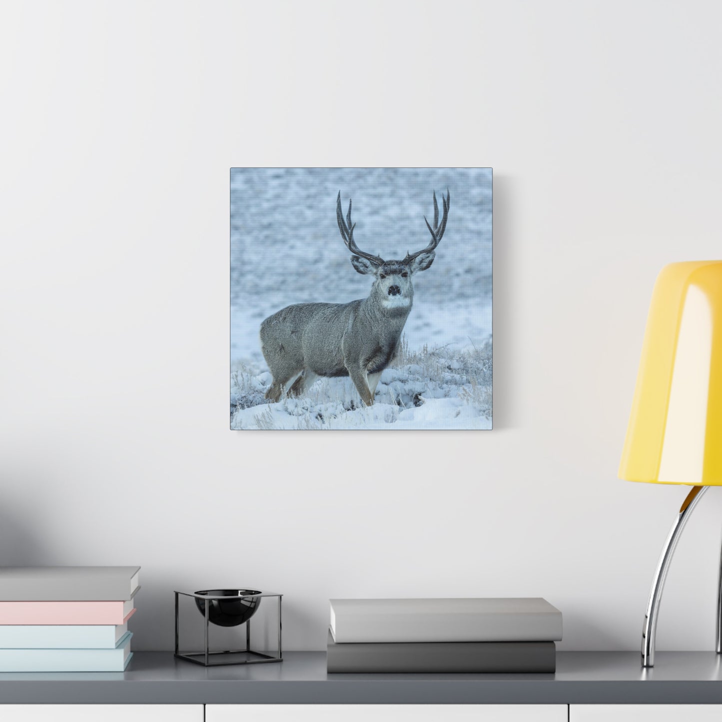RUT BUCK MULE DEER BUCK STRETCHED CANVAS PRINT