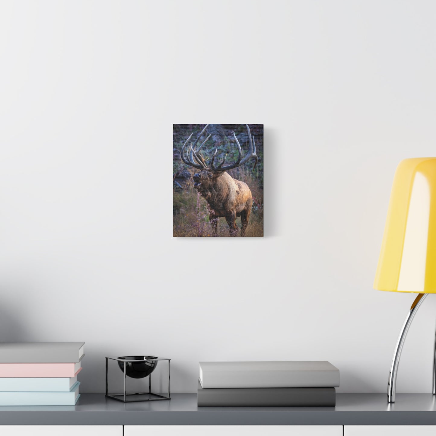 FALL INTENSITY BULL ELK STRETCHED CANVAS PRINT