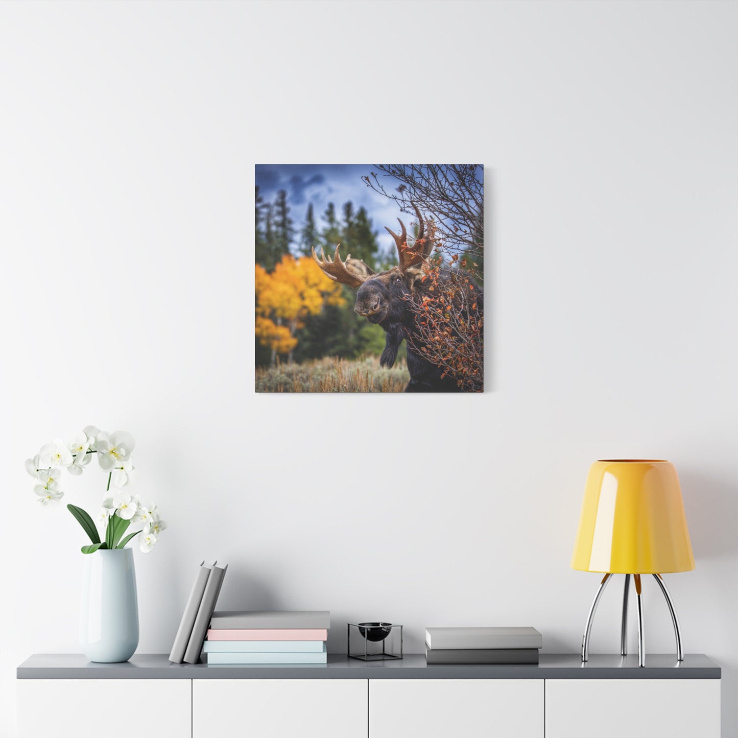 PEEKING BULL MOOSE STRETCHED CANVAS PRINT