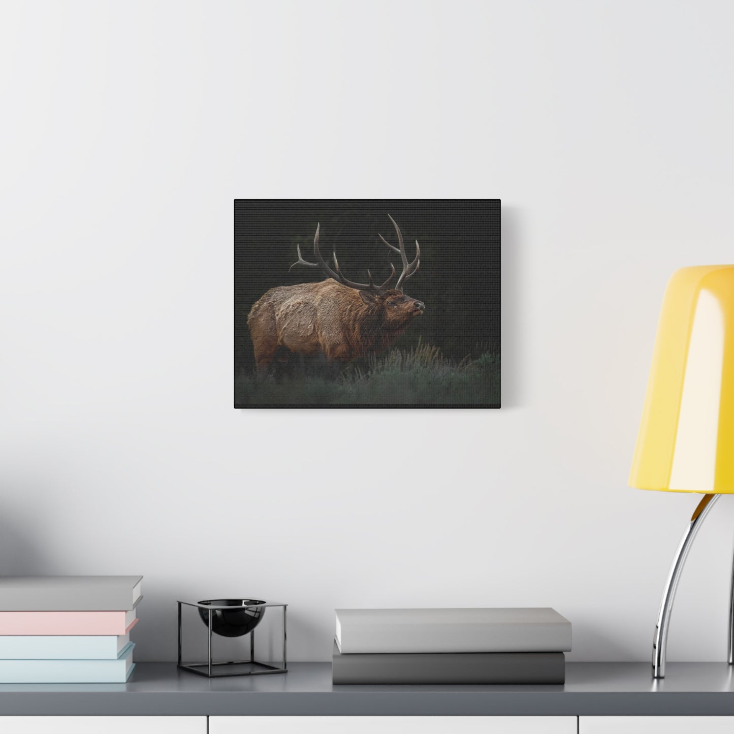 LOW LOOK BULL ELK STRETCHED CANVAS PRINT