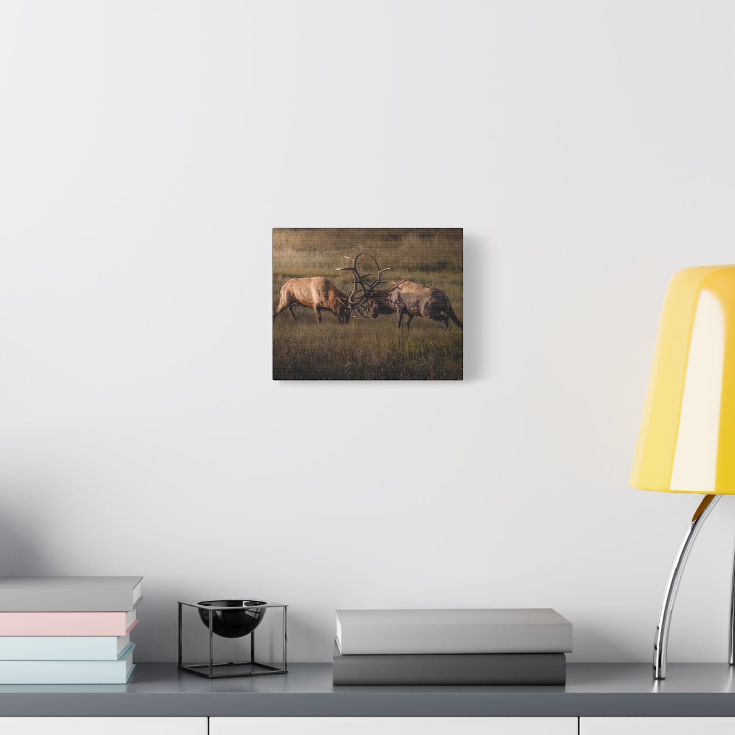 LOCKED IN LIGHT BULL ELK STRETCHED CANVAS PRINT