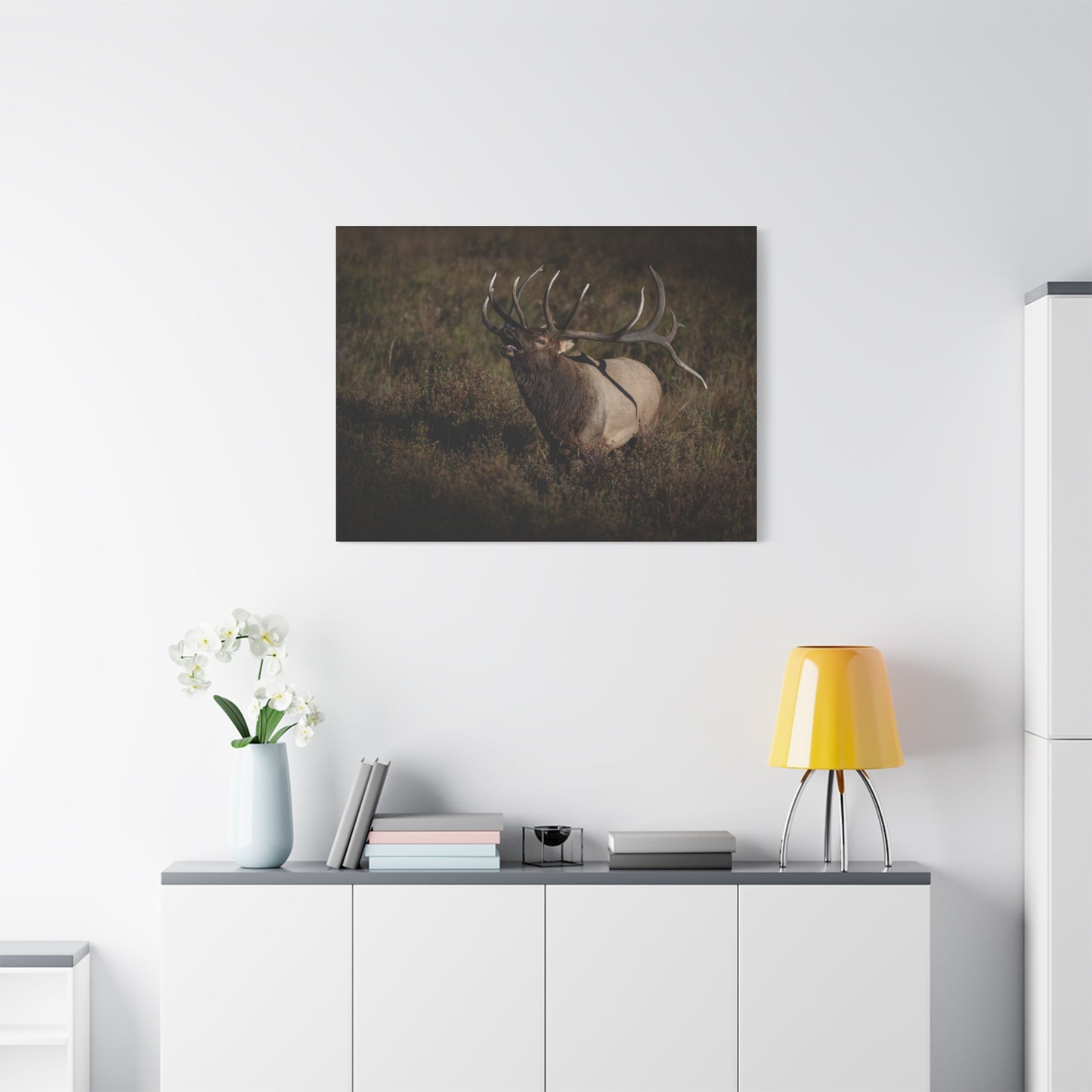 SPLIT DECISION BULL ELK STRETCHED CANVAS PRINT