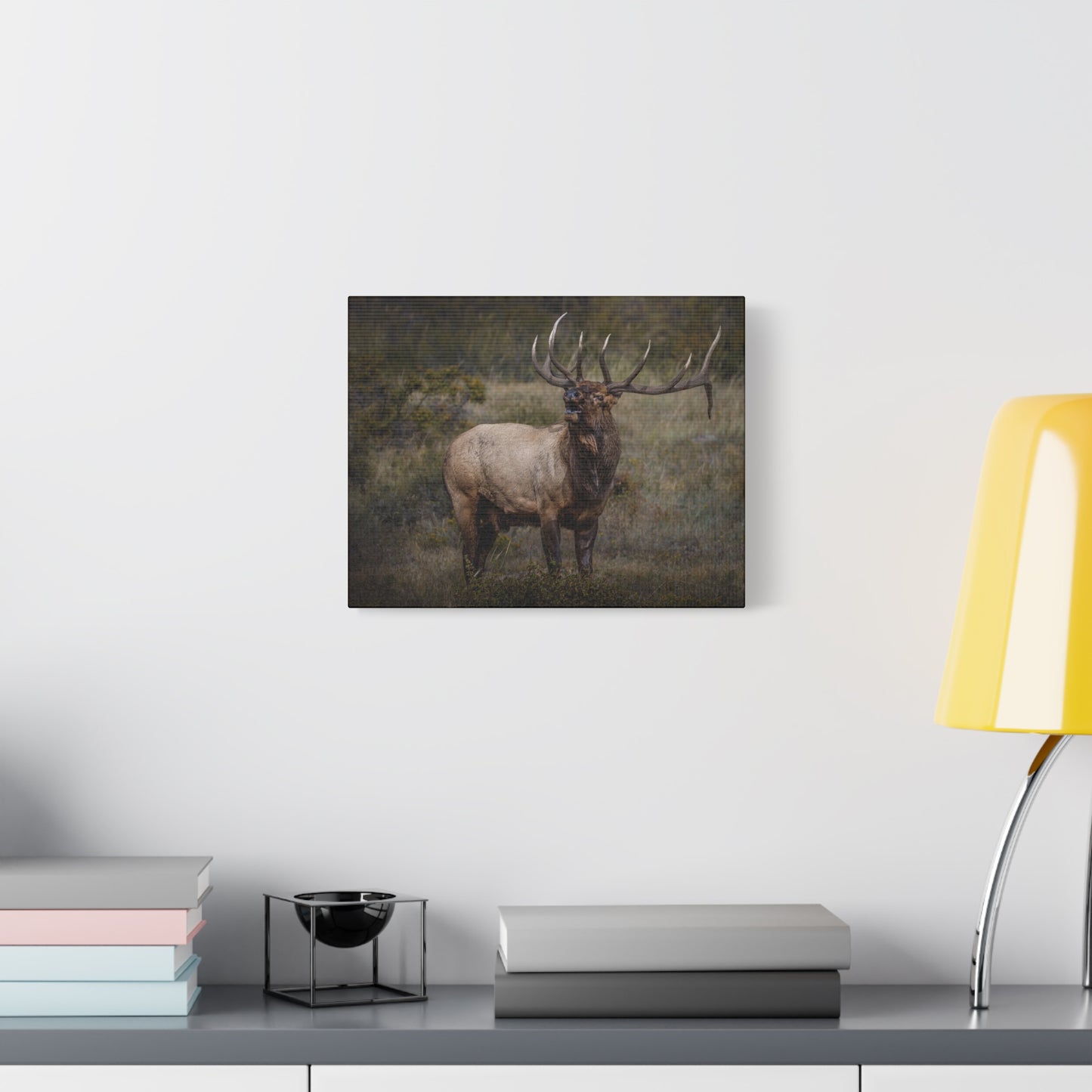 BEAMER BULL ELK STRETCHED CANVAS PRINT