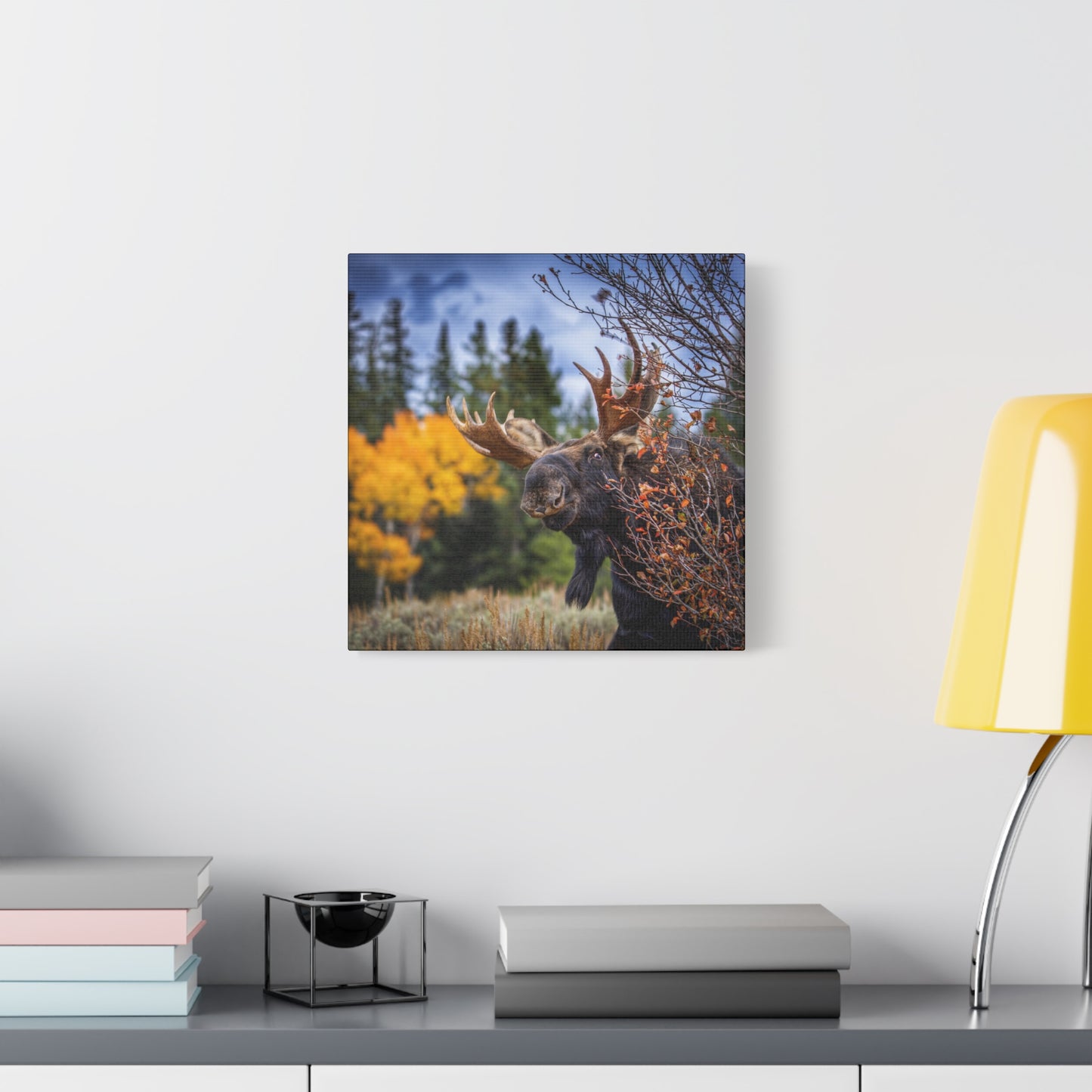 PEEKING BULL MOOSE STRETCHED CANVAS PRINT