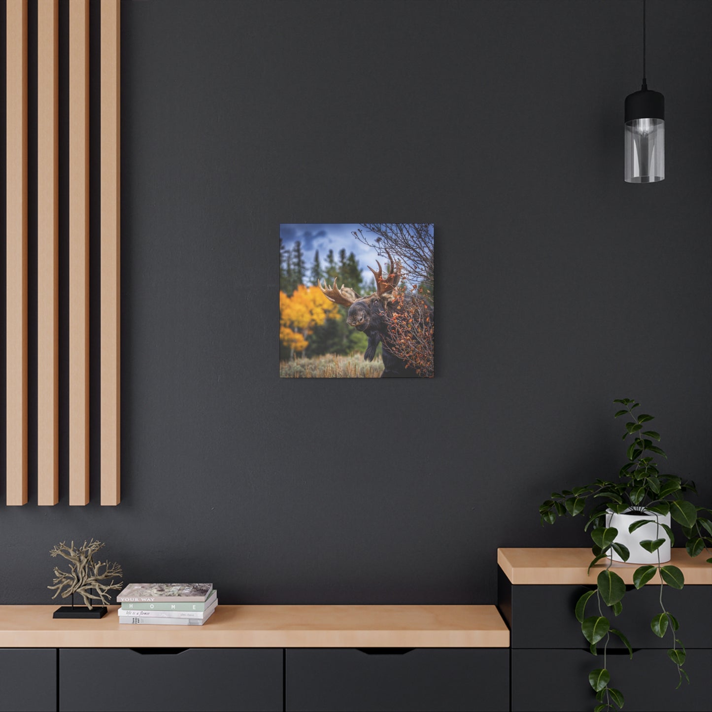 PEEKING BULL MOOSE STRETCHED CANVAS PRINT