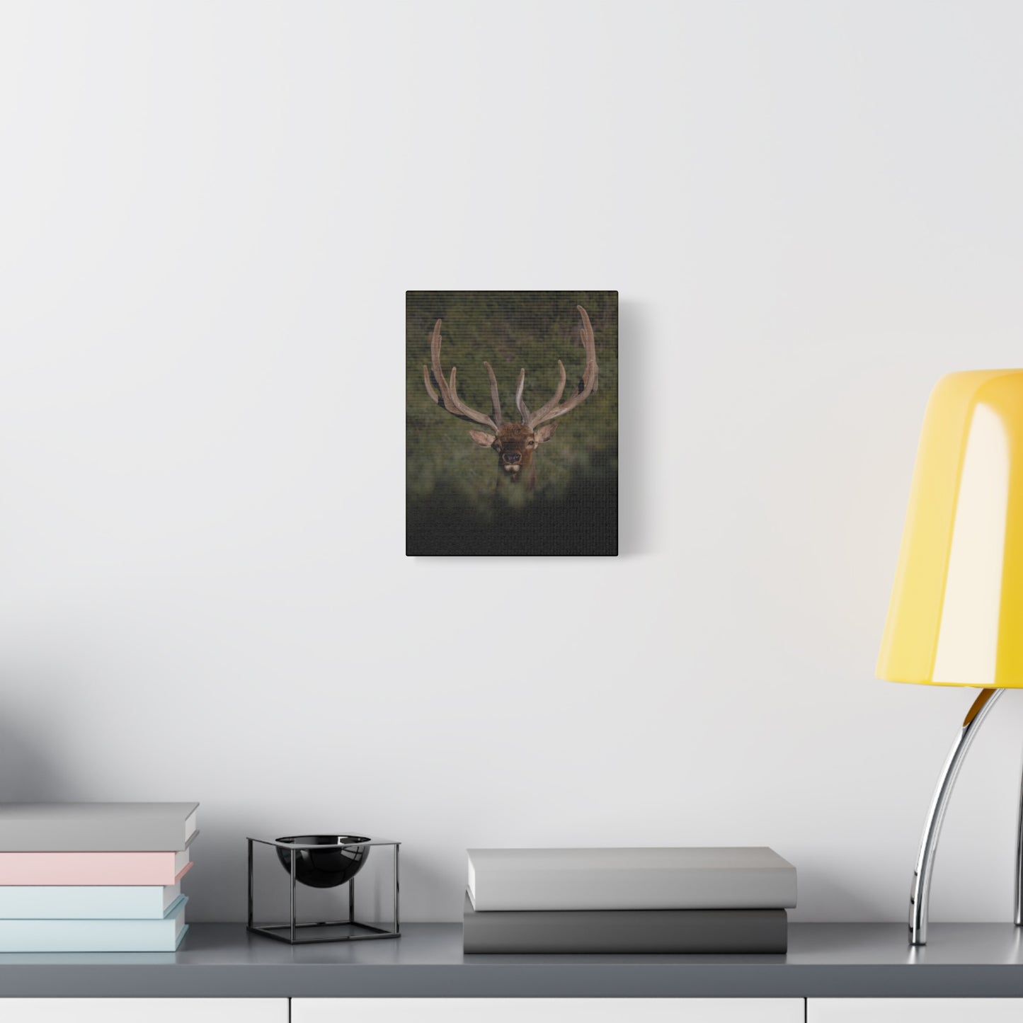 VELVET SURPRISE BULL ELK STRETCHED CANVAS PRINT