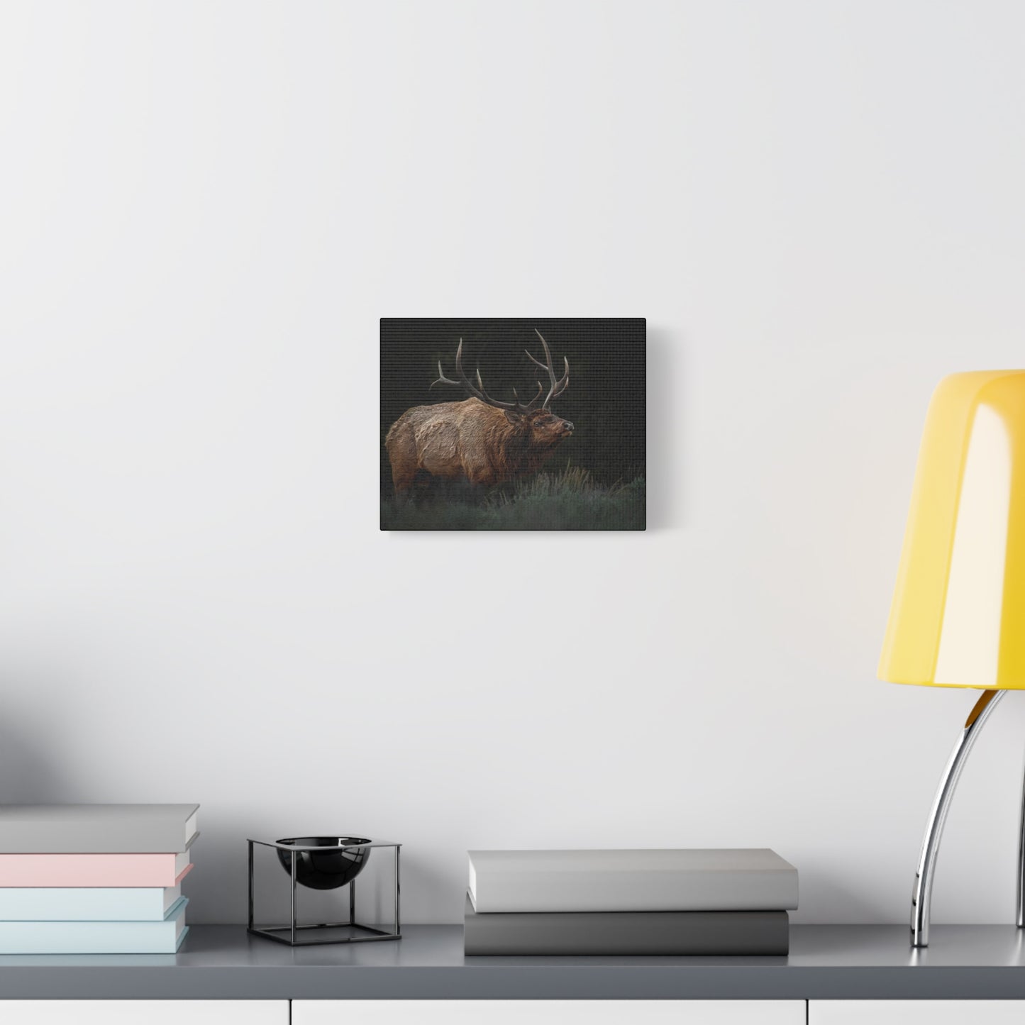 LOW LOOK BULL ELK STRETCHED CANVAS PRINT