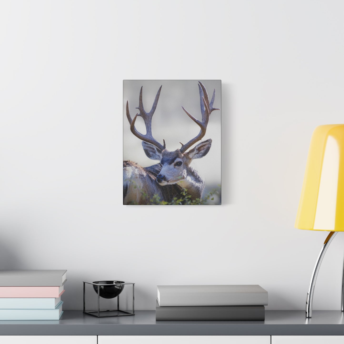 STICKERS MULE DEER BUCK STRETCHED CANVAS PRINT