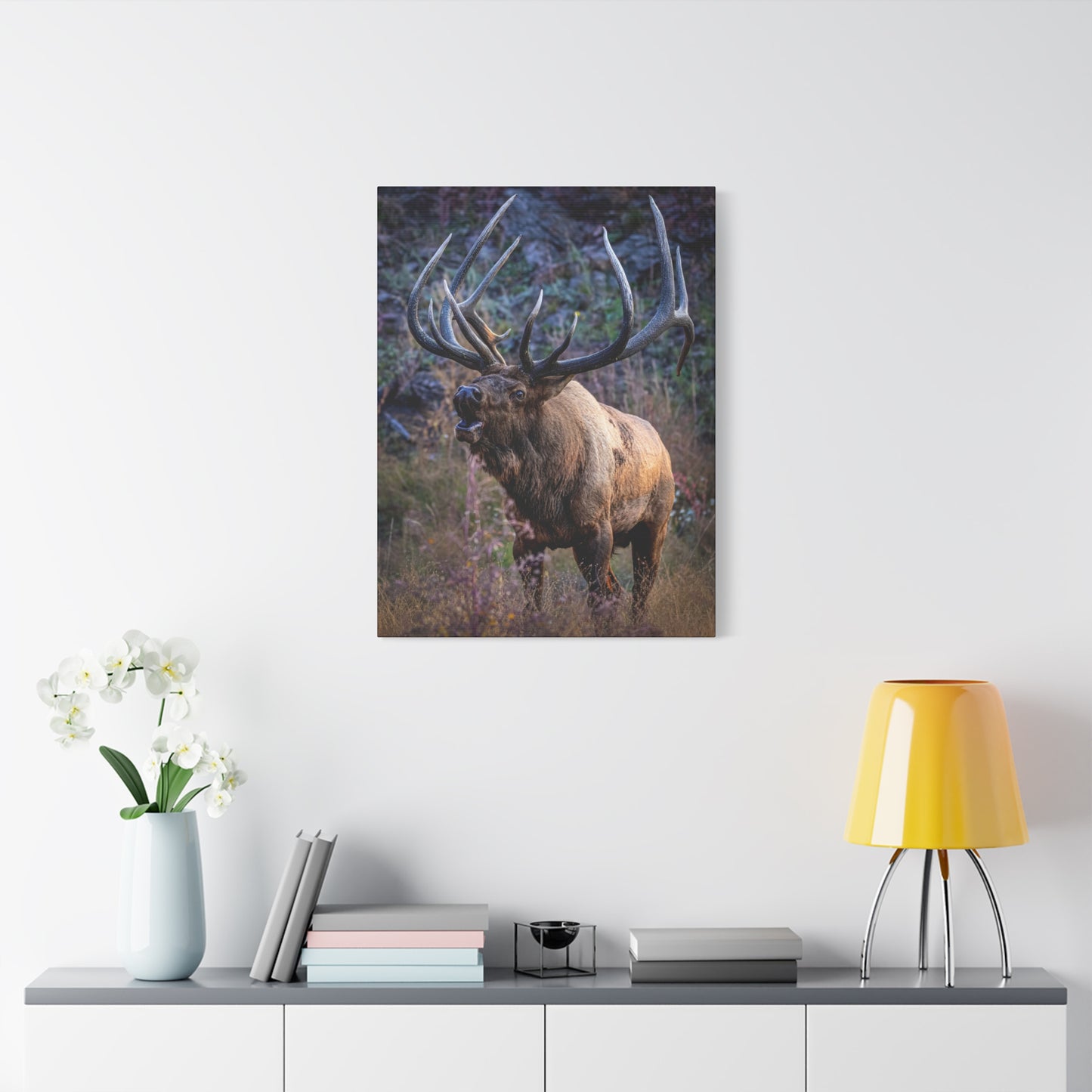 FALL INTENSITY BULL ELK STRETCHED CANVAS PRINT
