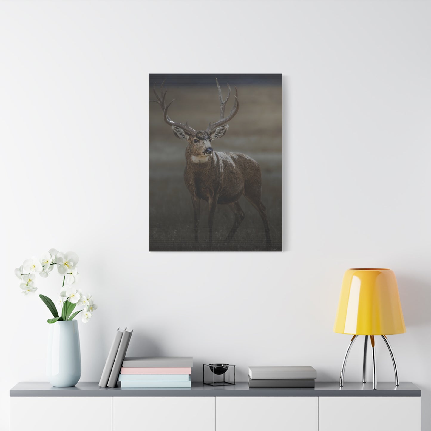 MORNING MULEY MULE DEER BUCK STRETCHED CANVAS PRINT