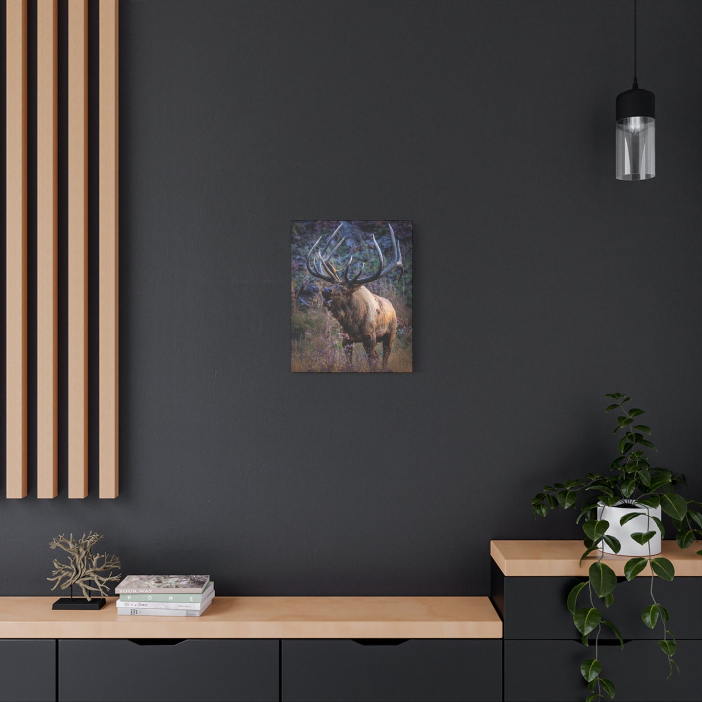 FALL INTENSITY BULL ELK STRETCHED CANVAS PRINT