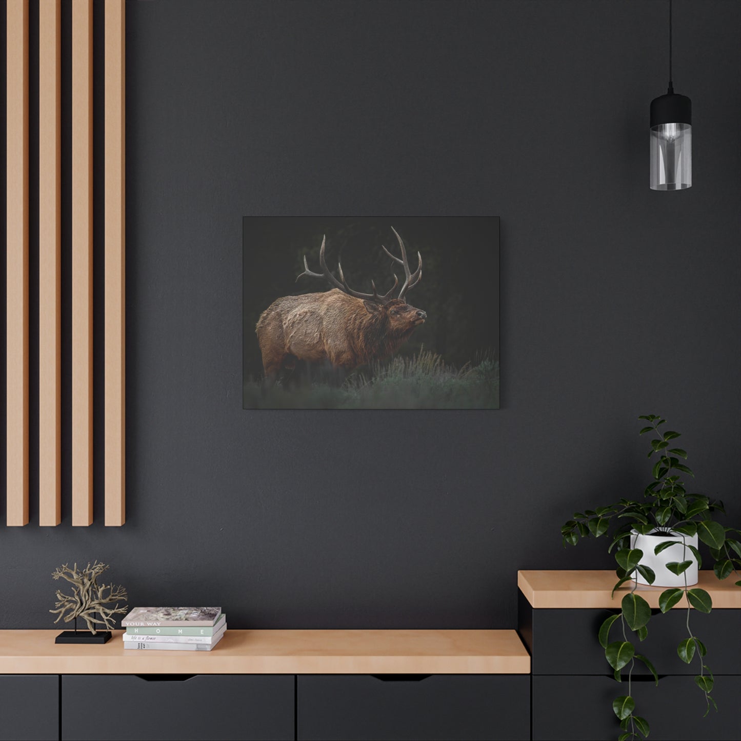LOW LOOK BULL ELK STRETCHED CANVAS PRINT