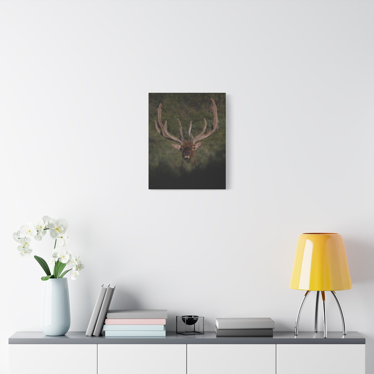 VELVET SURPRISE BULL ELK STRETCHED CANVAS PRINT