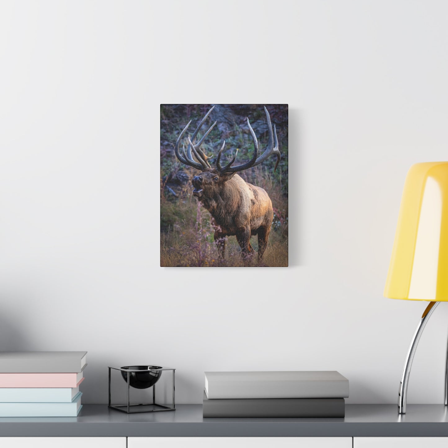FALL INTENSITY BULL ELK STRETCHED CANVAS PRINT