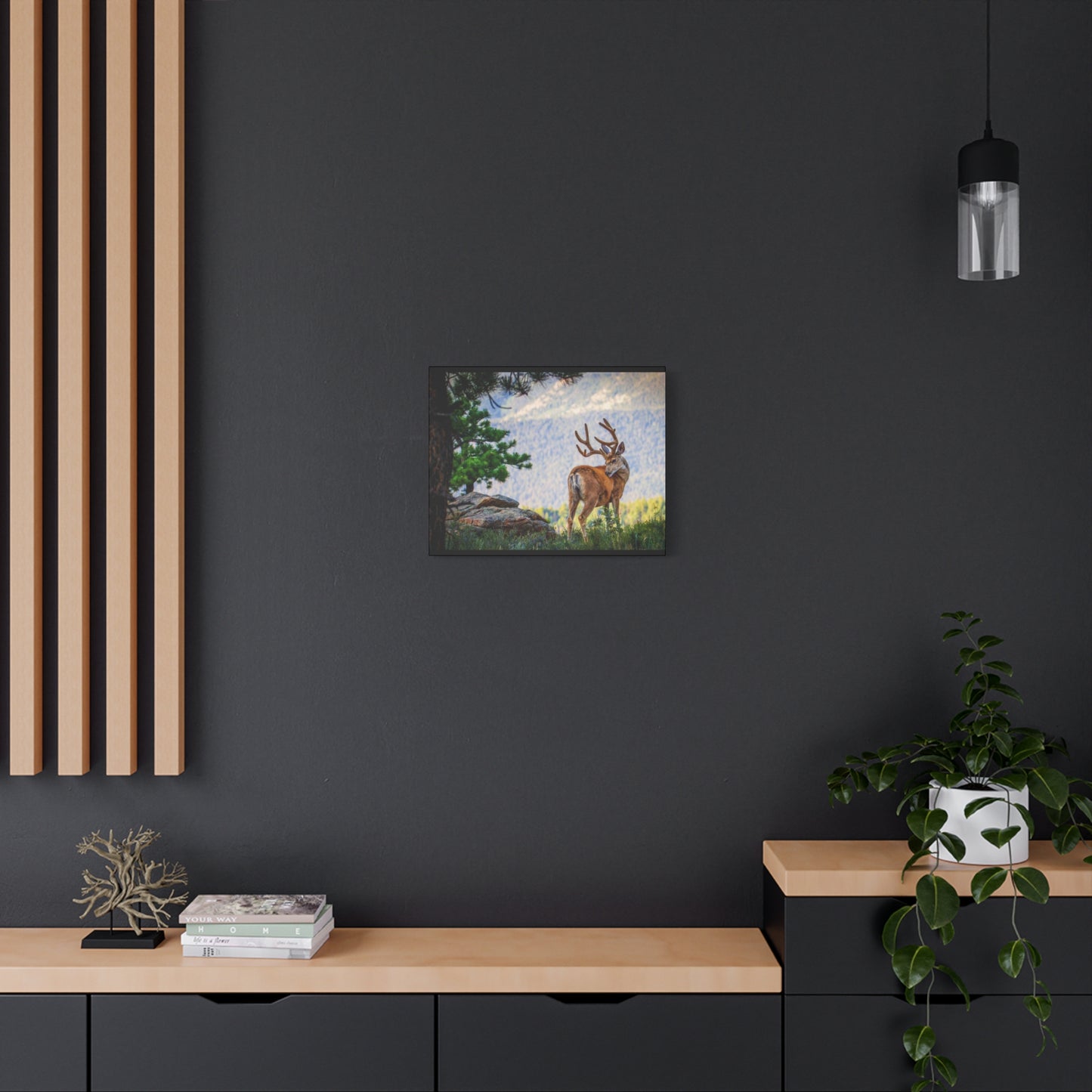 BACKDROP ITCH BUCK MULE DEER STRETCHED CANVAS PRINT
