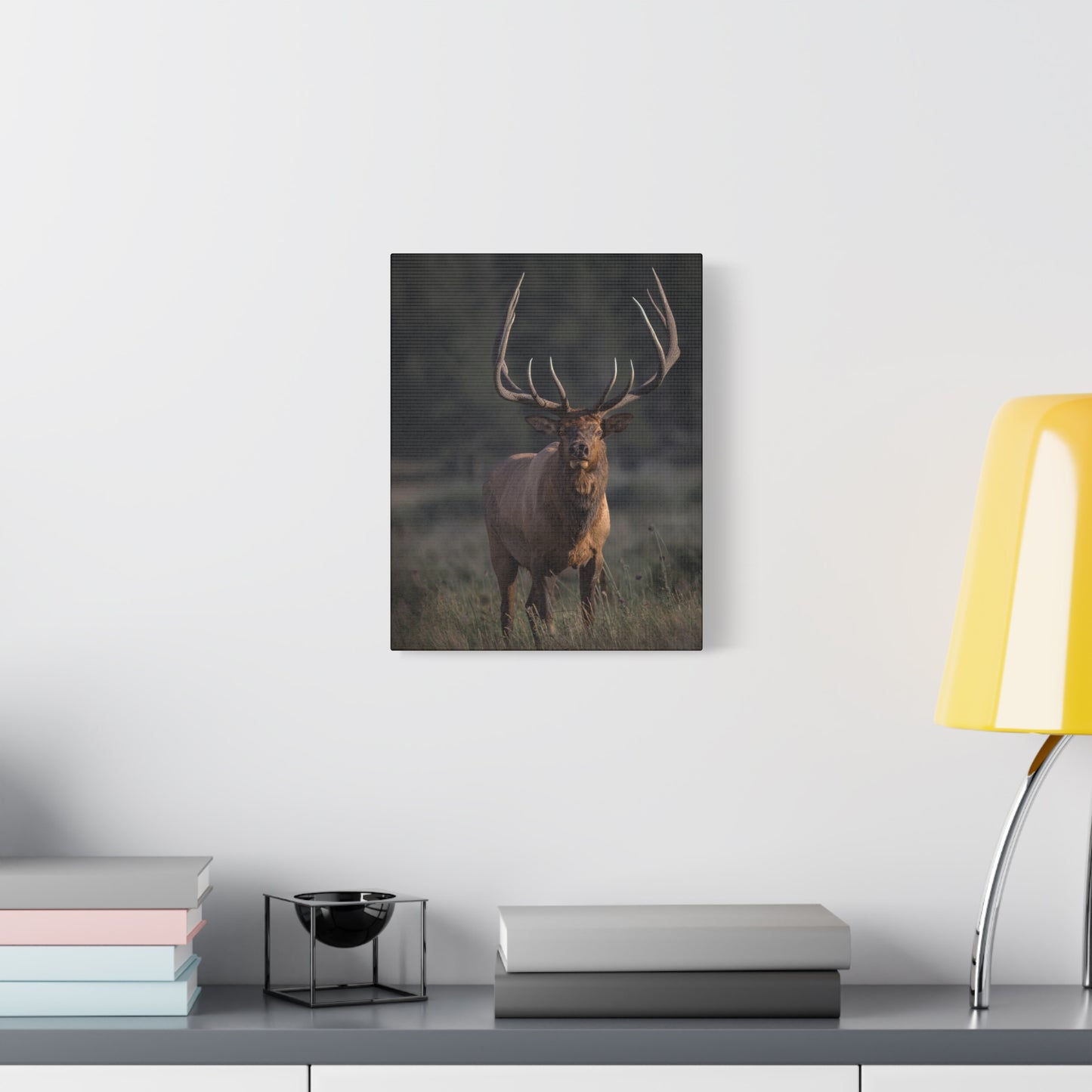 ATTENTION GETTER BULL ELK STRETCHED CANVAS PRINT
