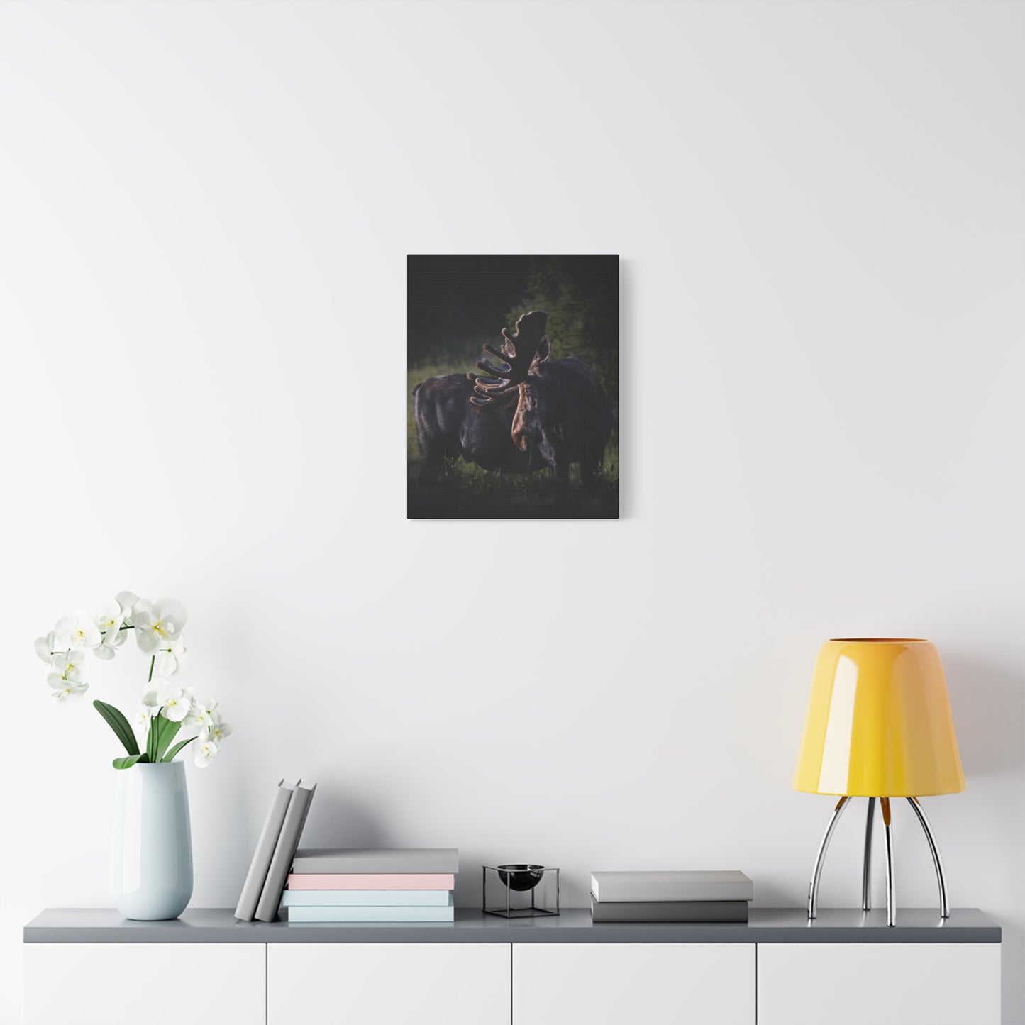 VELVET HIGHLIGHTS BULL MOOSE STRETCHED CANVAS PRINT