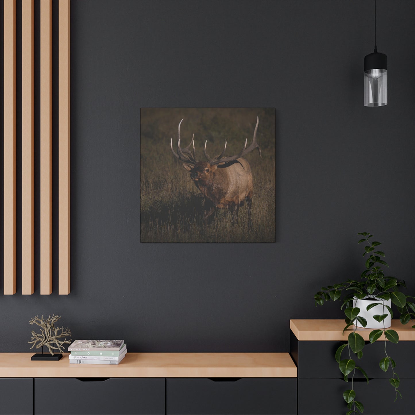LAID BACK BULL ELK STRETCHED CANVAS PRINT