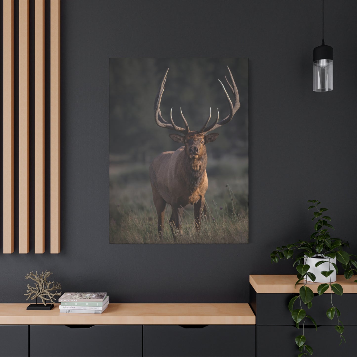 ATTENTION GETTER BULL ELK STRETCHED CANVAS PRINT