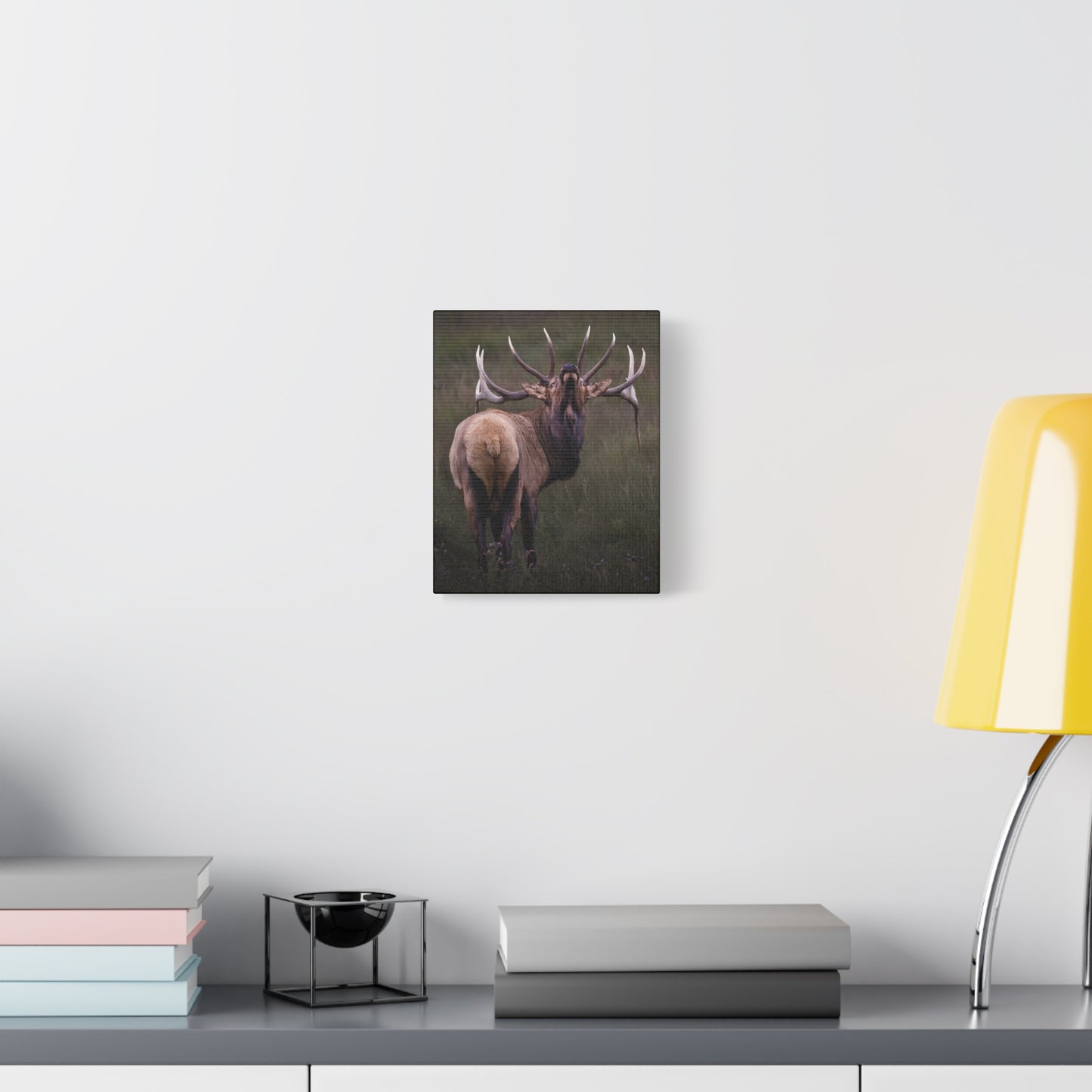 BEYOND BULL ELK STRETCHED CANVAS PRINT