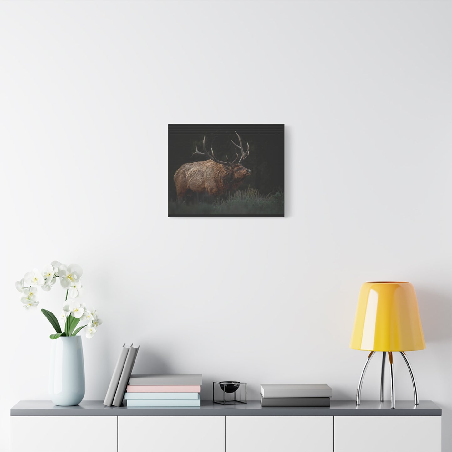 LOW LOOK BULL ELK STRETCHED CANVAS PRINT