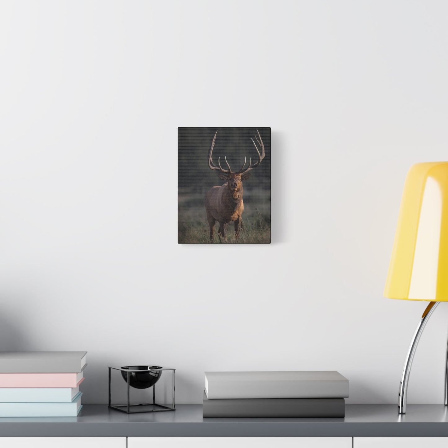 ATTENTION GETTER BULL ELK STRETCHED CANVAS PRINT