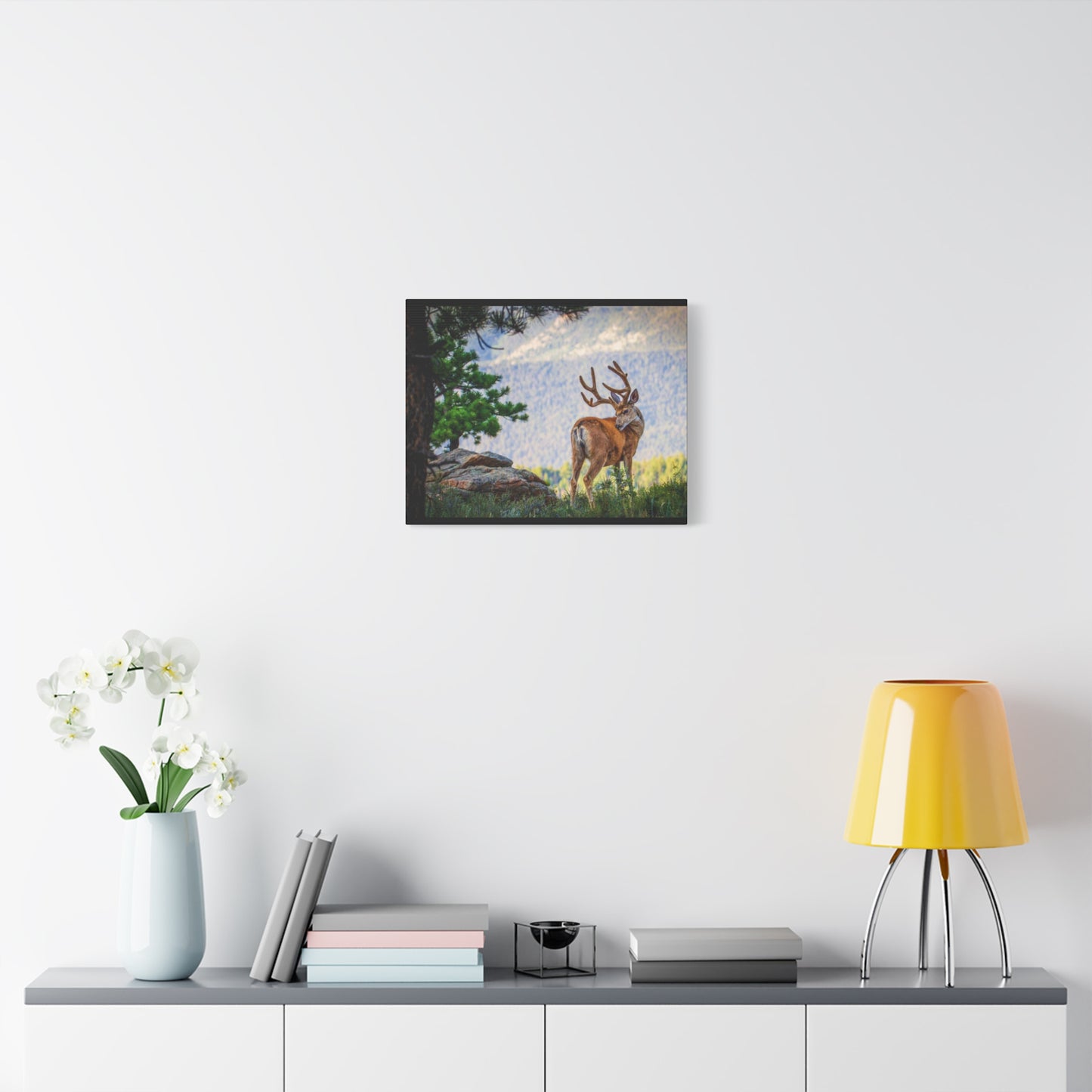 BACKDROP ITCH BUCK MULE DEER STRETCHED CANVAS PRINT