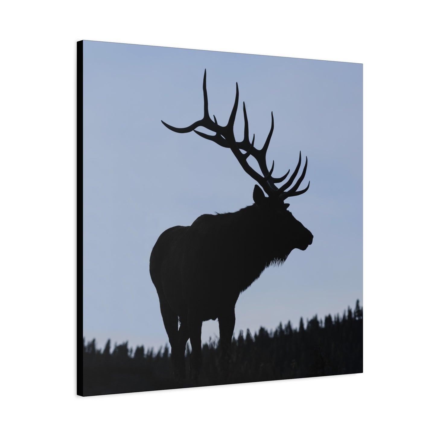 ROCKY MOUNTAIN SILHOUETTE BULL ELK STRETCHED CANVAS PRINT