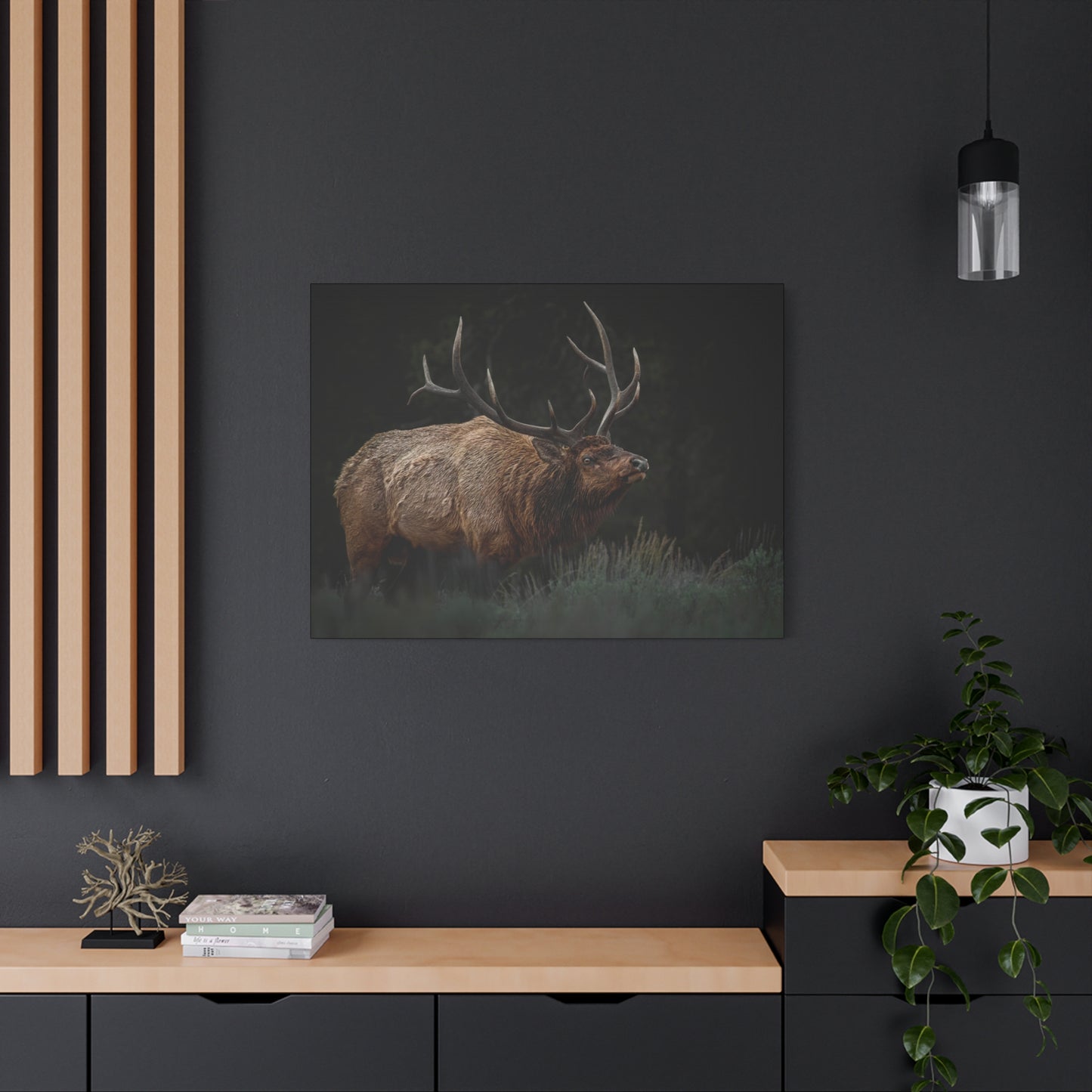 LOW LOOK BULL ELK STRETCHED CANVAS PRINT