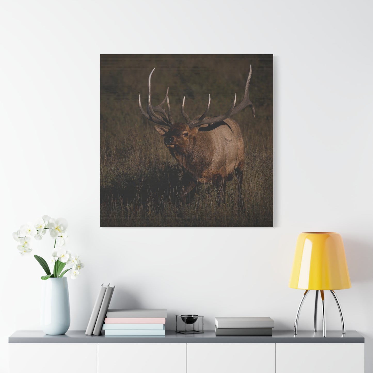 LAID BACK BULL ELK STRETCHED CANVAS PRINT