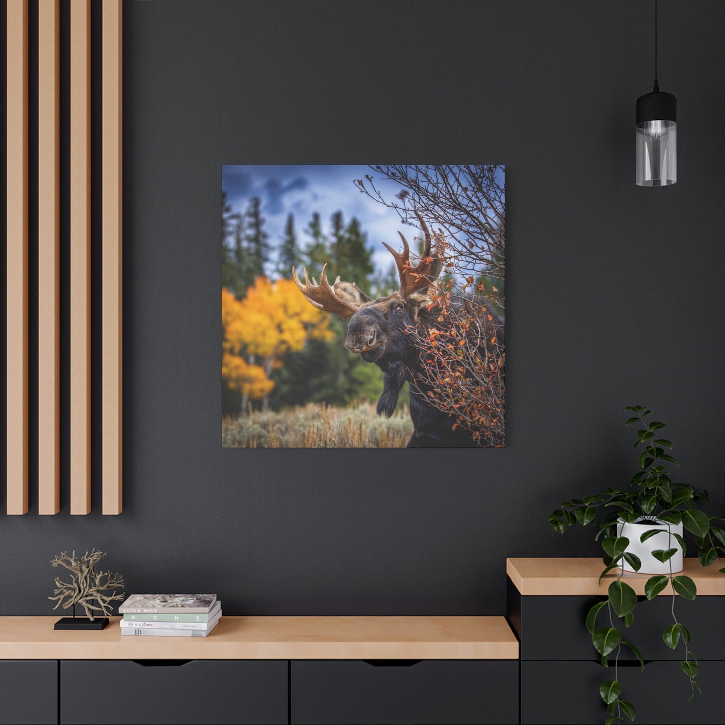PEEKING BULL MOOSE STRETCHED CANVAS PRINT