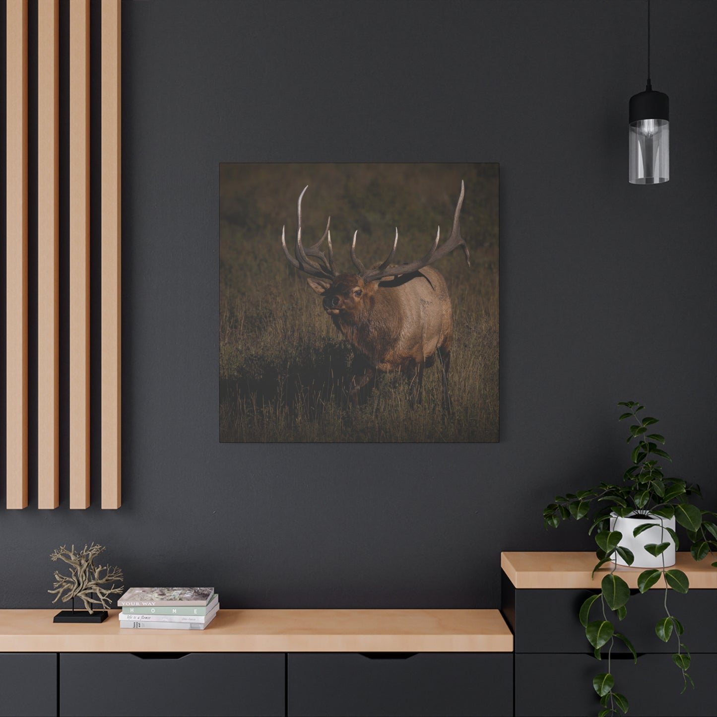 LAID BACK BULL ELK STRETCHED CANVAS PRINT