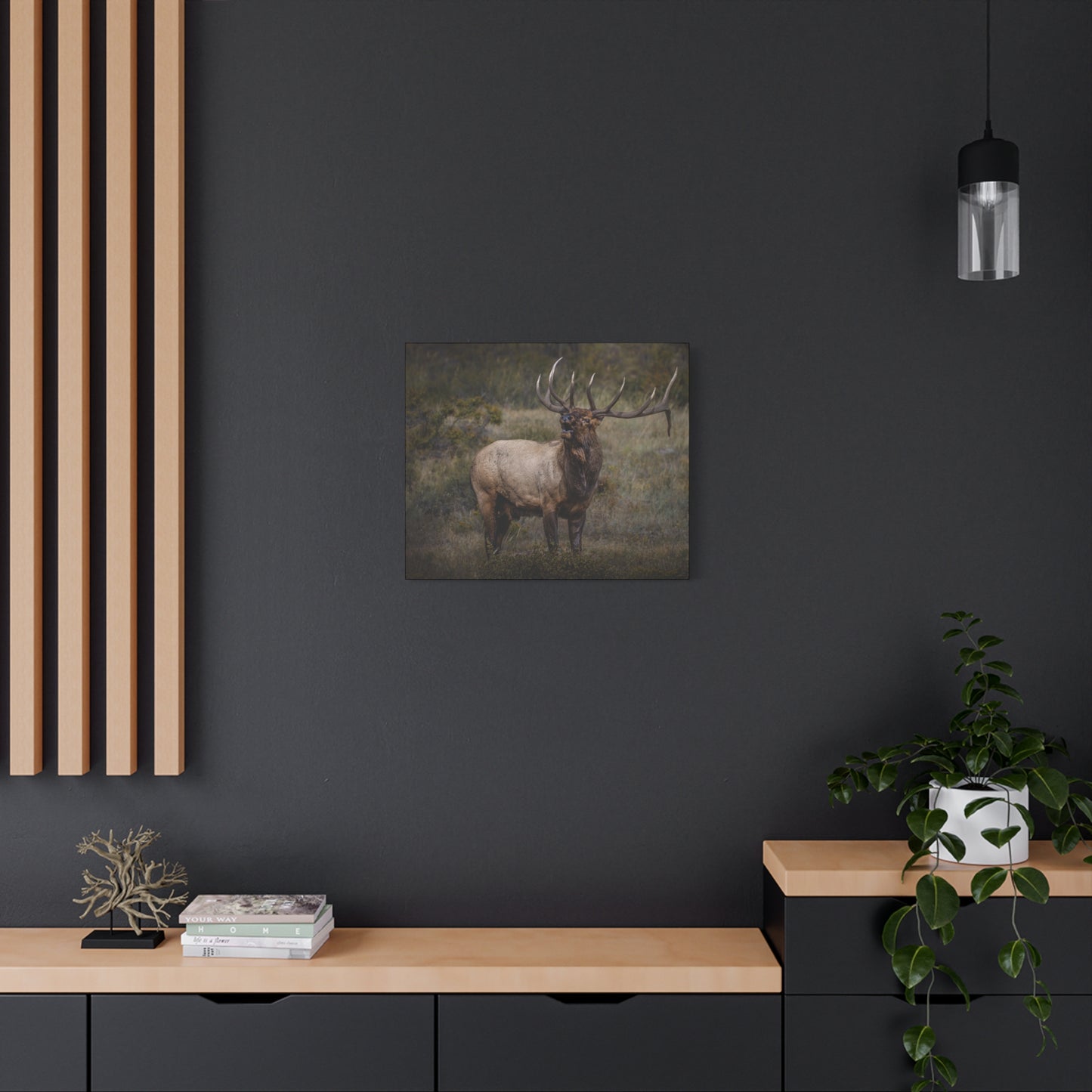BEAMER BULL ELK STRETCHED CANVAS PRINT