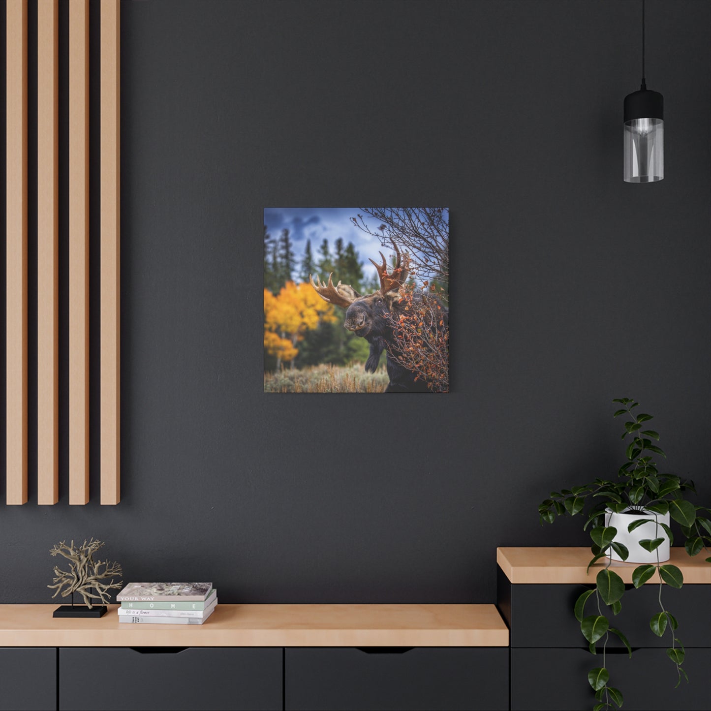 PEEKING BULL MOOSE STRETCHED CANVAS PRINT