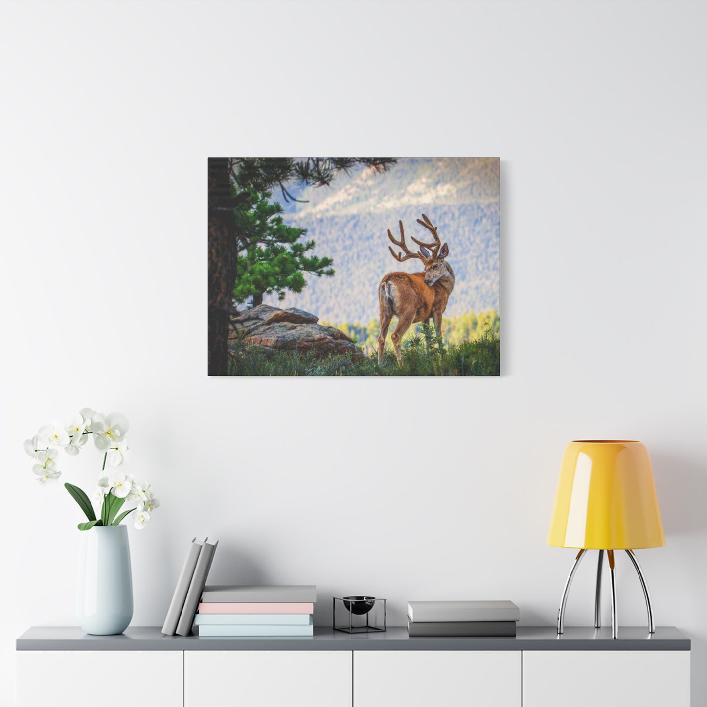 BACKDROP ITCH BUCK MULE DEER STRETCHED CANVAS PRINT