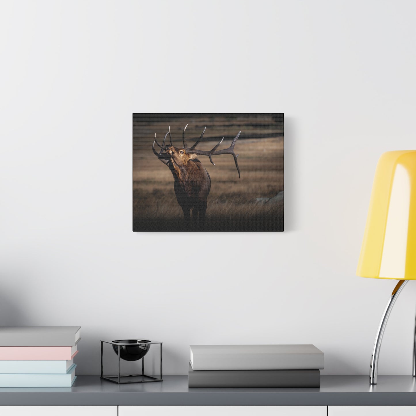 WILD SIDE BULL ELK STRETCHED CANVAS PRINT