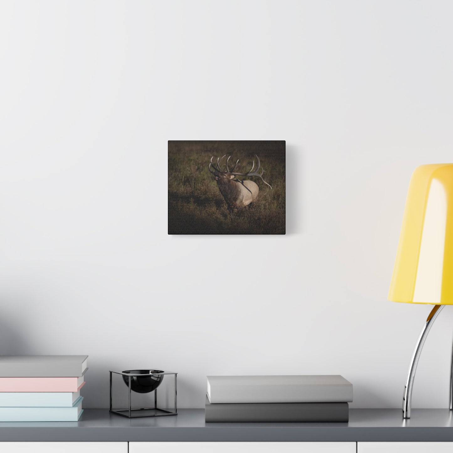 SPLIT DECISION BULL ELK STRETCHED CANVAS PRINT