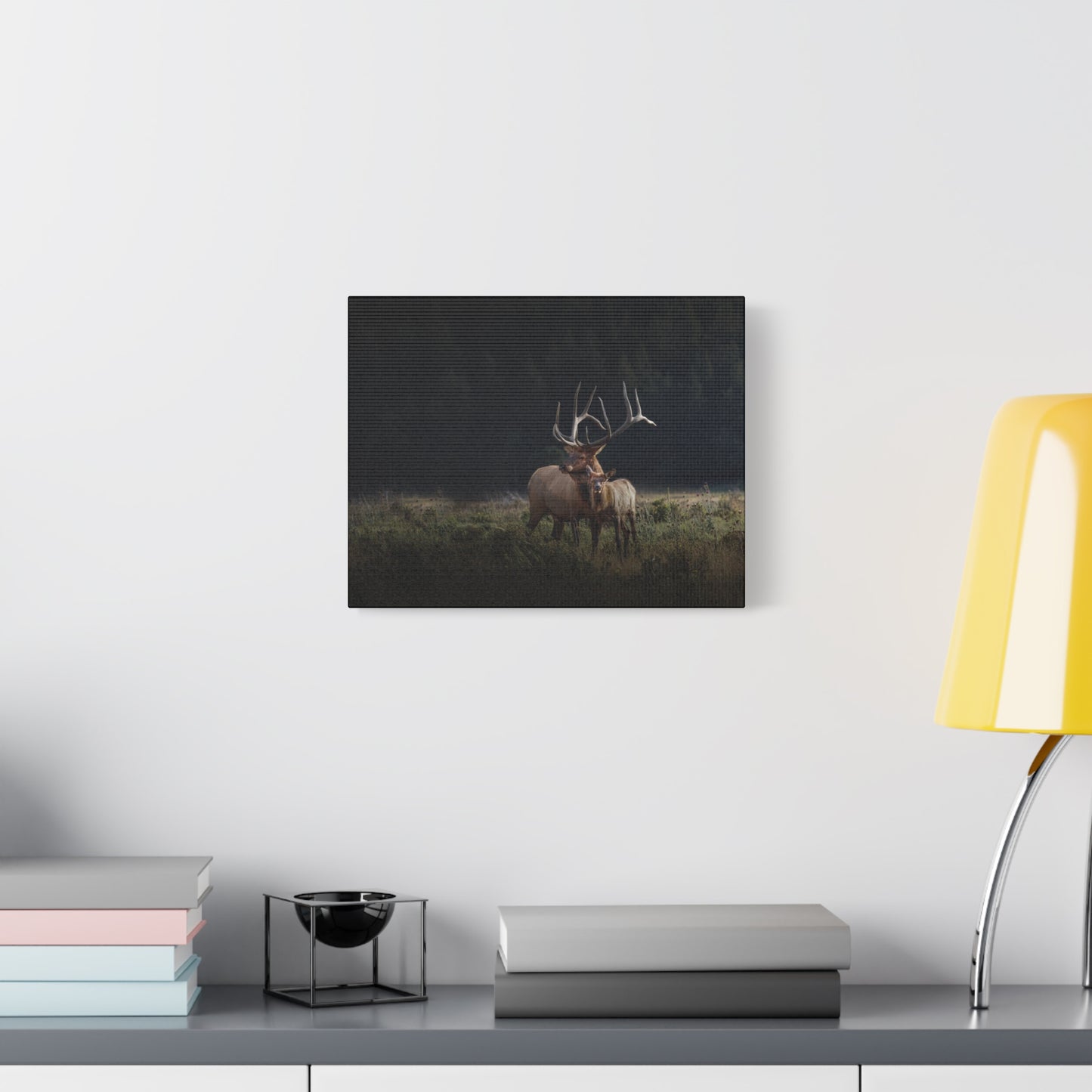 GENERATIONS BULL ELK STRETCHED CANVAS PRINT
