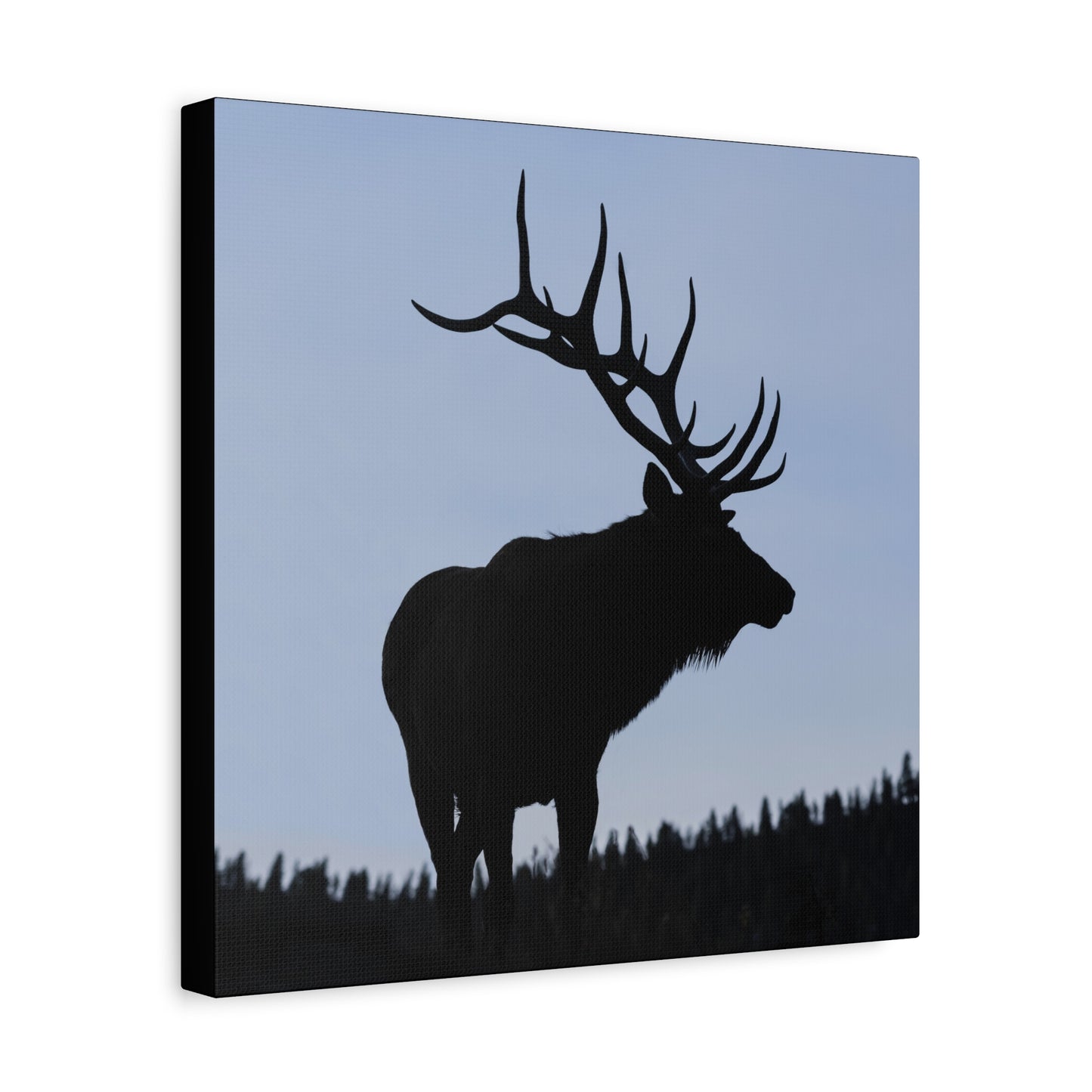 ROCKY MOUNTAIN SILHOUETTE BULL ELK STRETCHED CANVAS PRINT