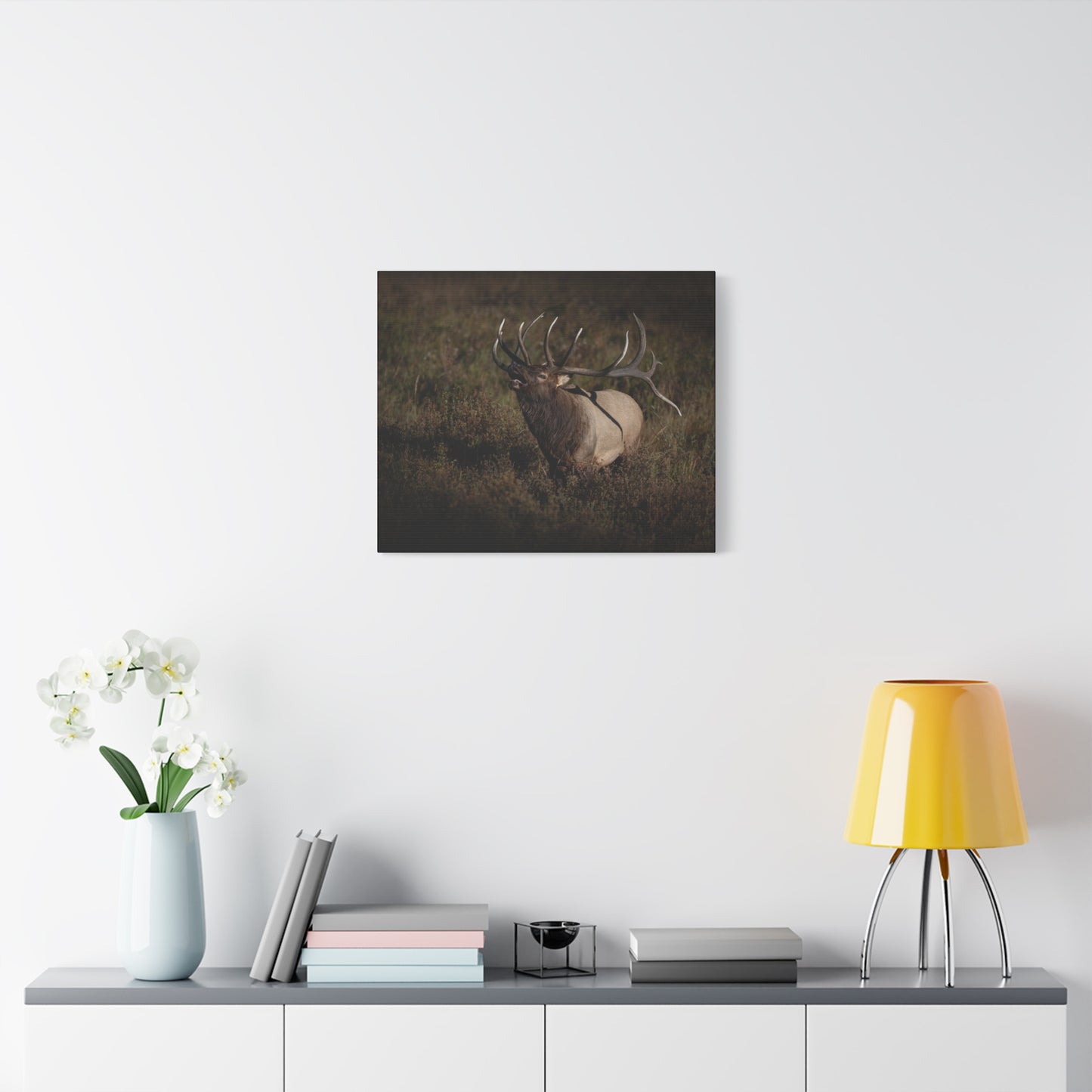 SPLIT DECISION BULL ELK STRETCHED CANVAS PRINT