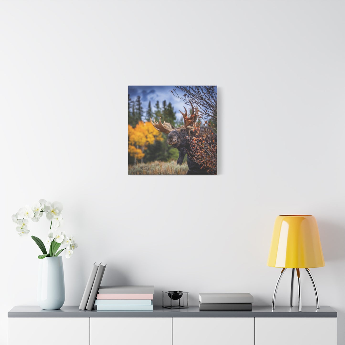 PEEKING BULL MOOSE STRETCHED CANVAS PRINT