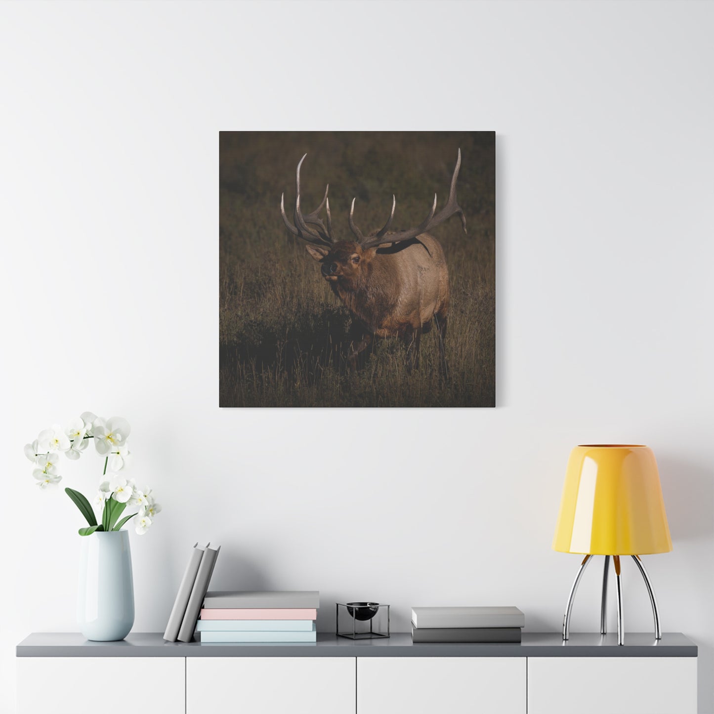 LAID BACK BULL ELK STRETCHED CANVAS PRINT
